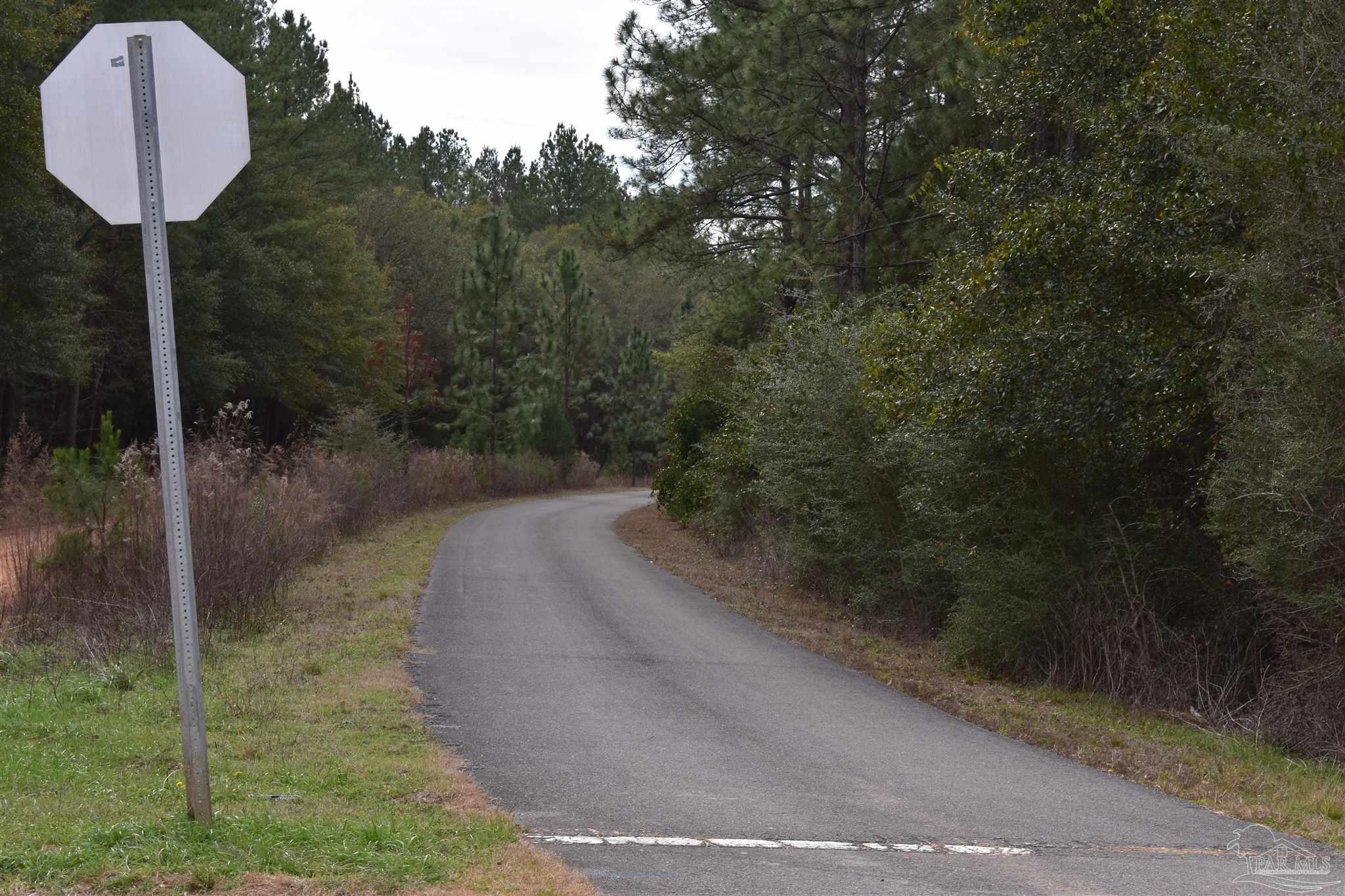 0 Pat Brown Road Milton, FL 32570 - Photo 29 of 30