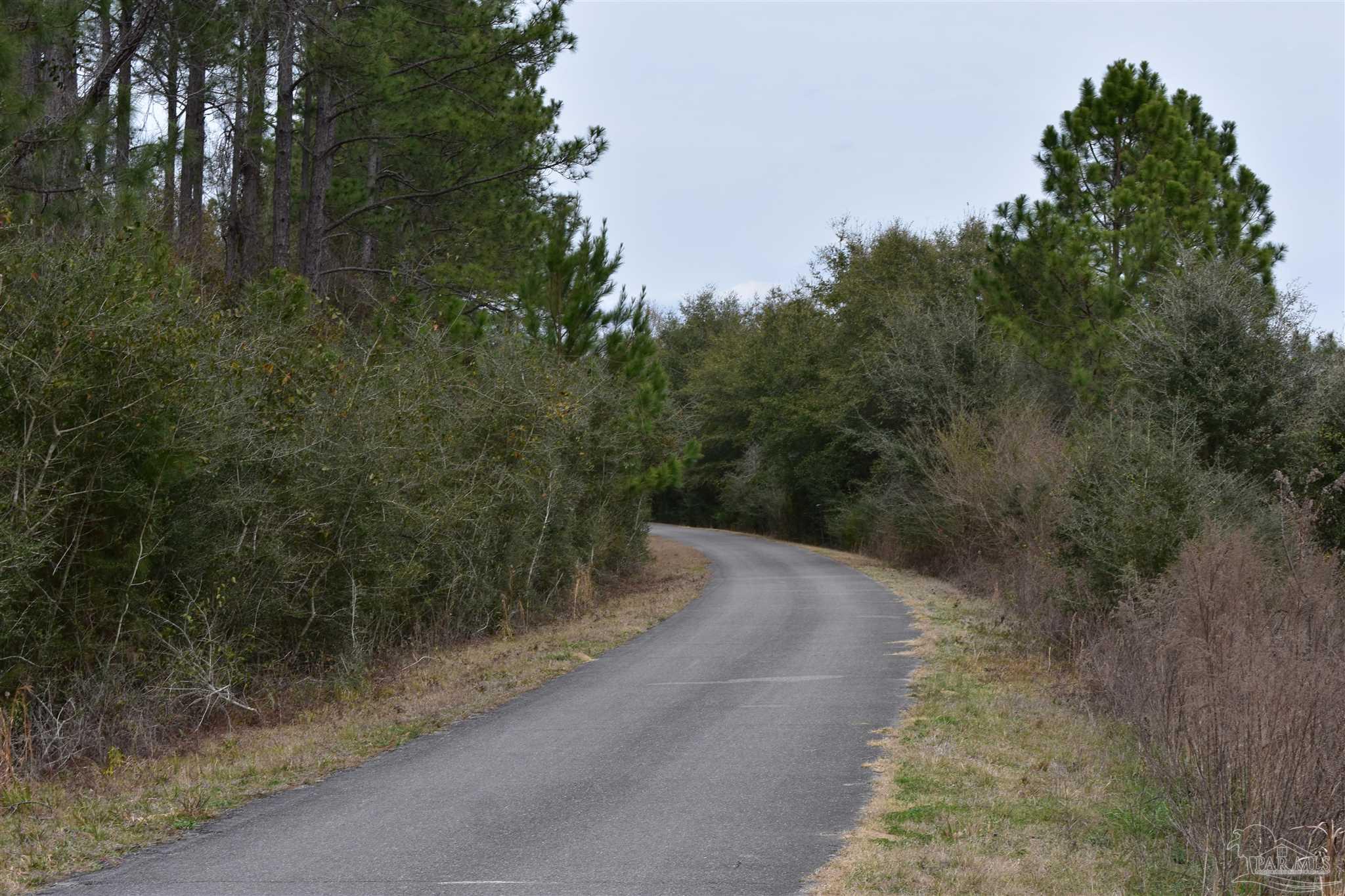 0 Pat Brown Road Milton, FL 32570 - Photo 30 of 30