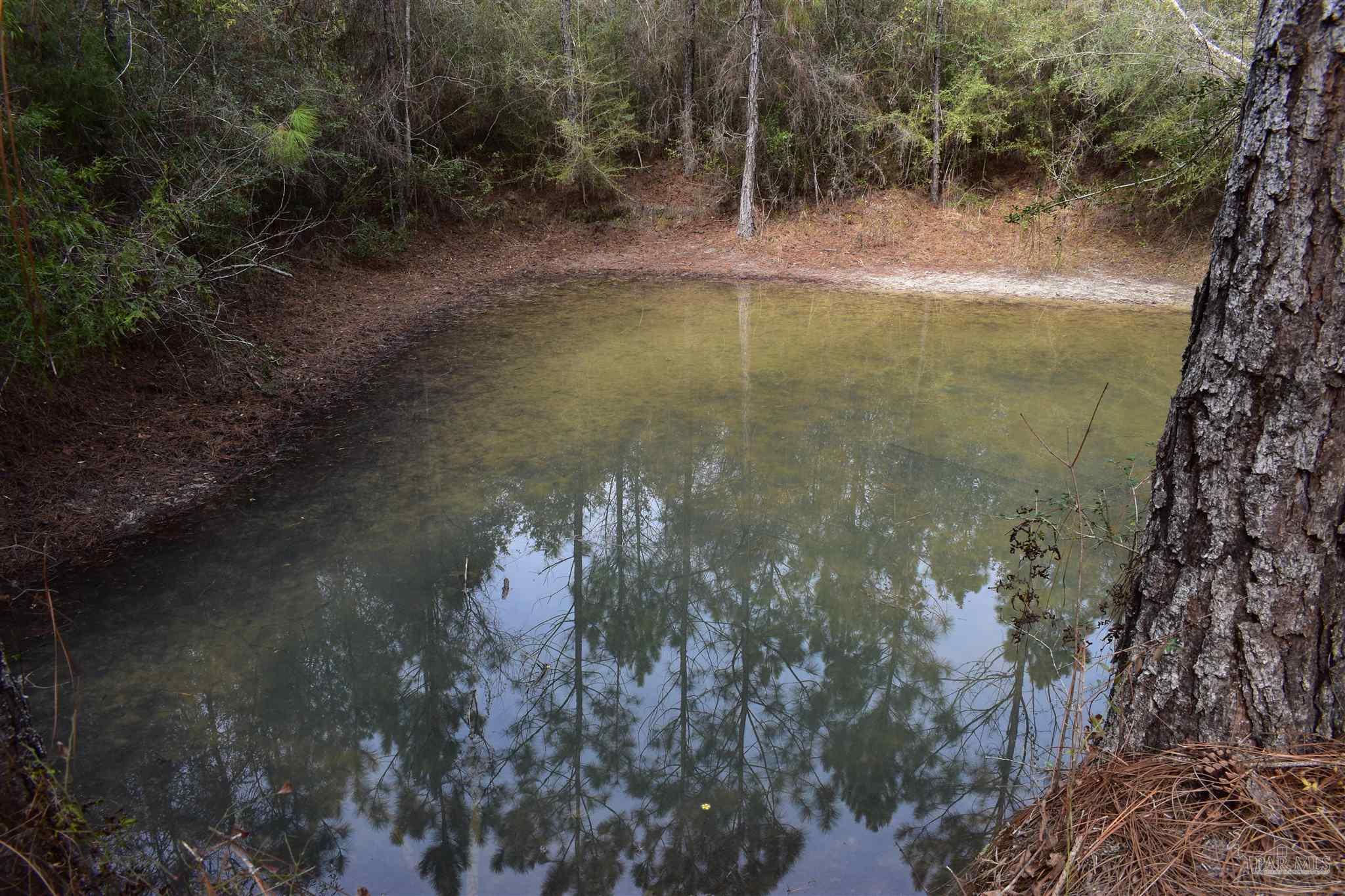 0 Pat Brown Road Milton, FL 32570 - Photo 4 of 30