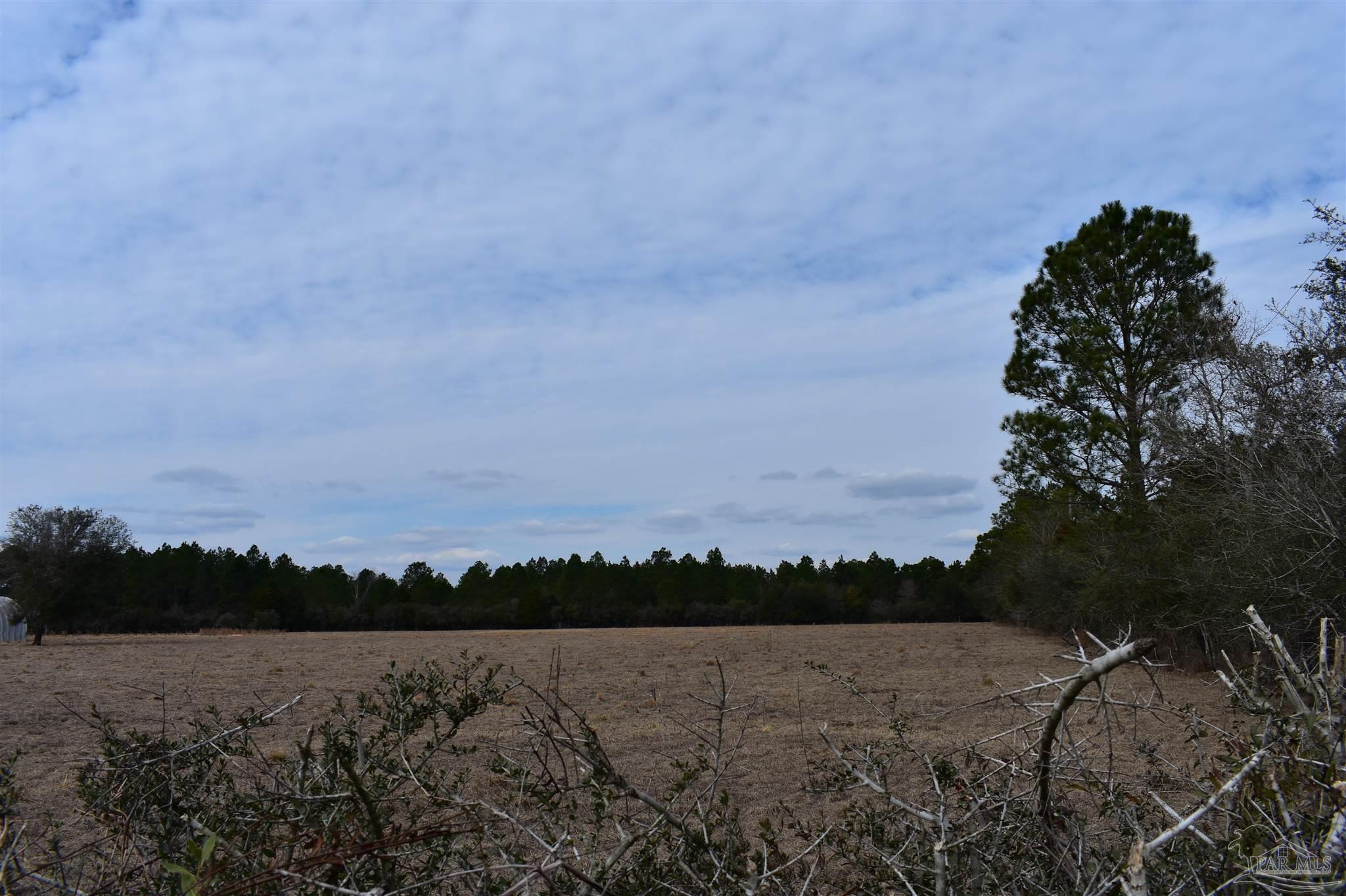 0 Pat Brown Road Milton, FL 32570 - Photo 5 of 30