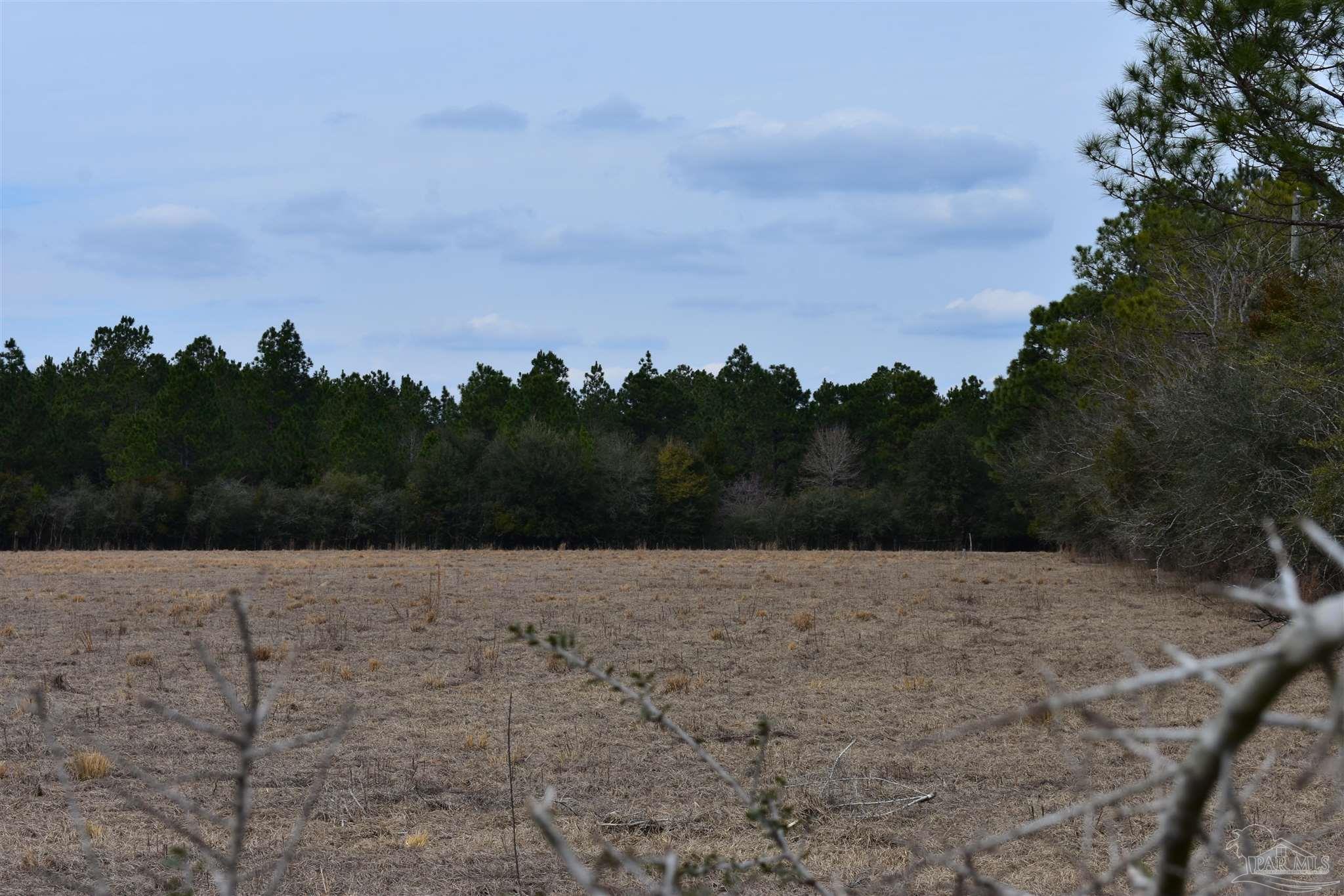 0 Pat Brown Road Milton, FL 32570 - Photo 6 of 30