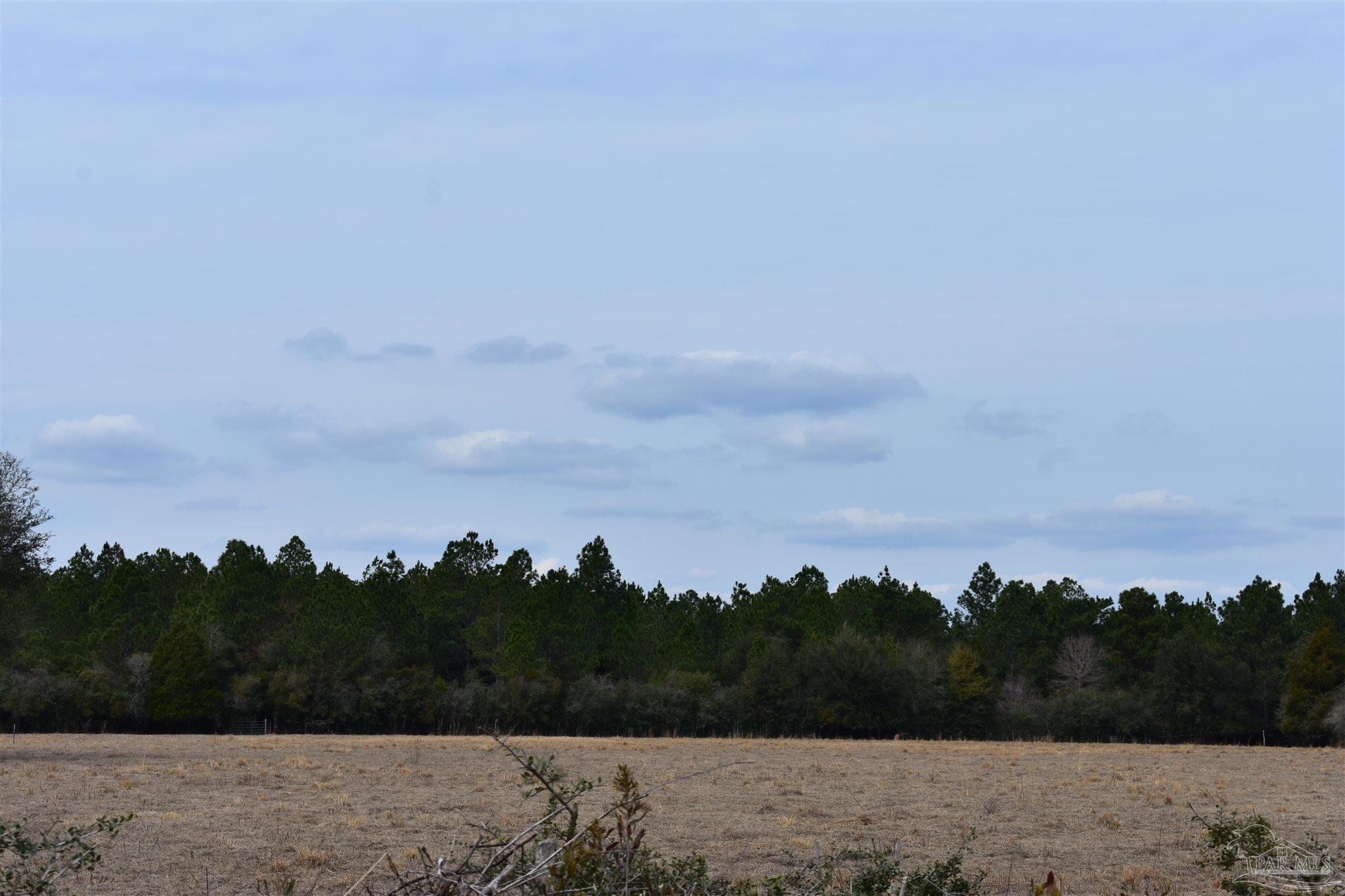 0 Pat Brown Road Milton, FL 32570 - Photo 7 of 30