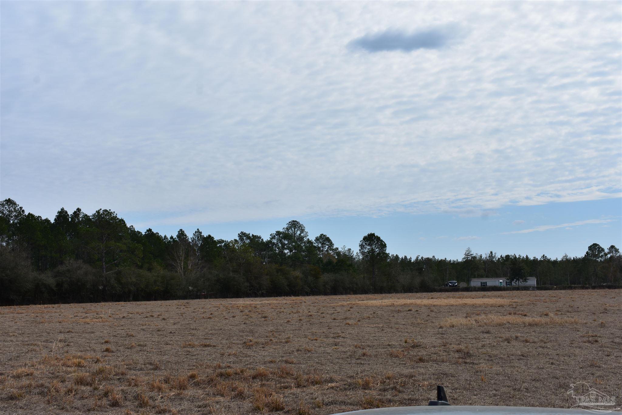 0 Pat Brown Road Milton, FL 32570 - Photo 8 of 30