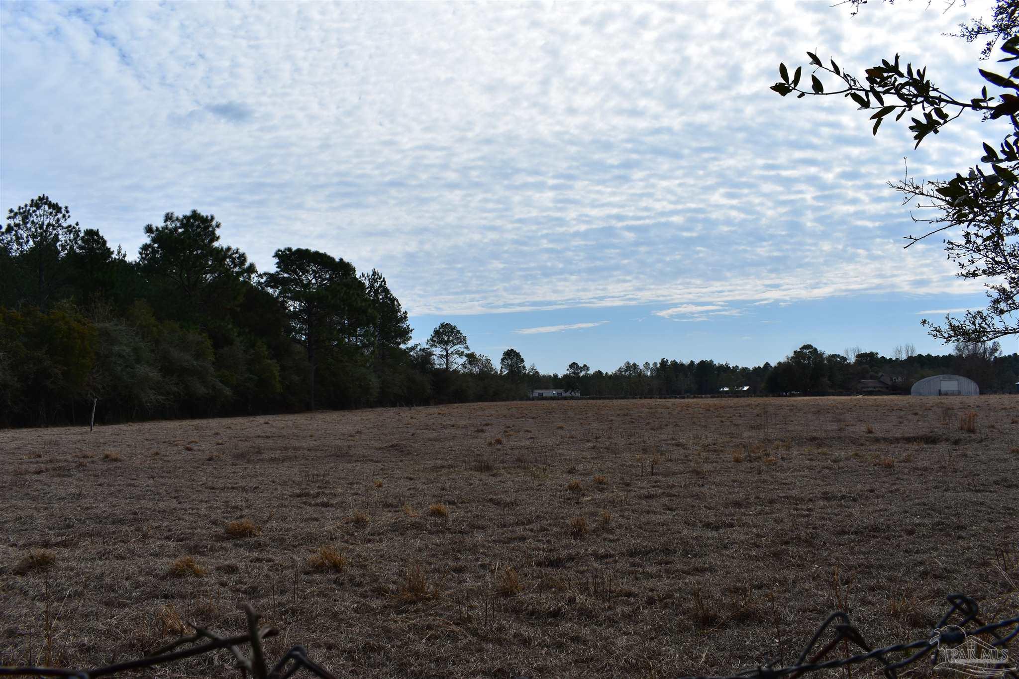 0 Pat Brown Road Milton, FL 32570 - Photo 9 of 30