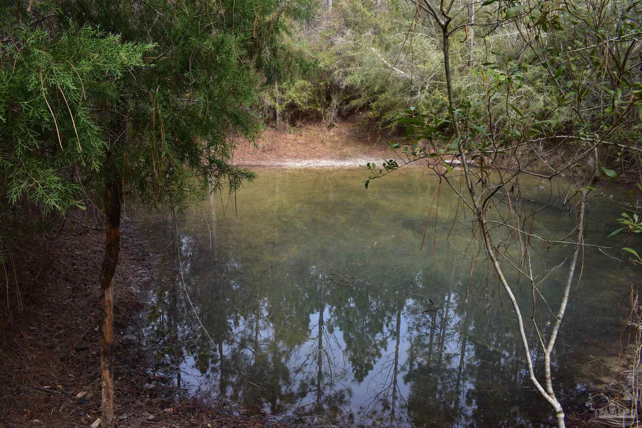 0 Pat Brown Road Milton, FL 32570 - Photo 10 of 30