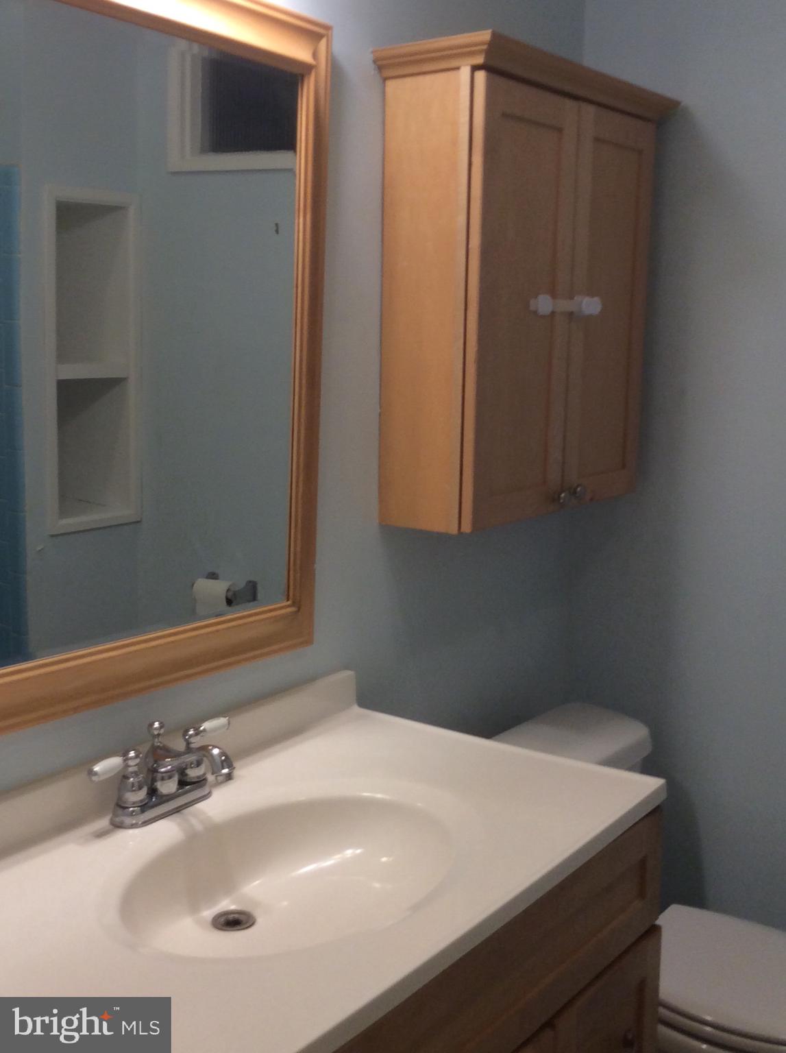 608 Winona Court Silver Spring, MD 20902 - Photo 13 of 28 Hall bath