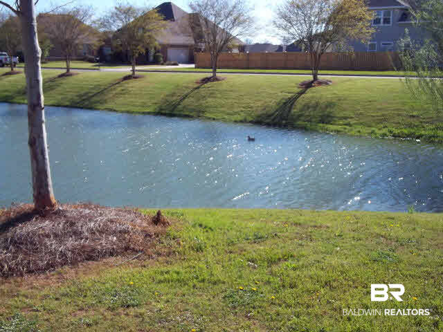 9841 Volterra Avenue Daphne, AL 36526 - Photo 10 of 11 Stocked pond 4