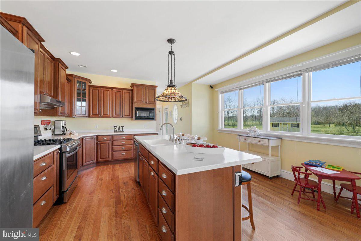 20182 Sand Hill Road Georgetown, DE 19947 - Photo 7 of 57 Gallery Image 7