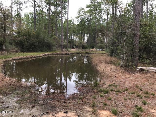 11001 Jim Ramsay Road Vancleave, MS 39565 - Photo 31 of 42 POND