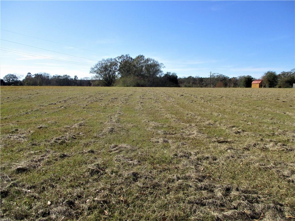 0 Simmons Road Franklinton, LA 70438 - Photo 4 of 6 Gallery Image 4