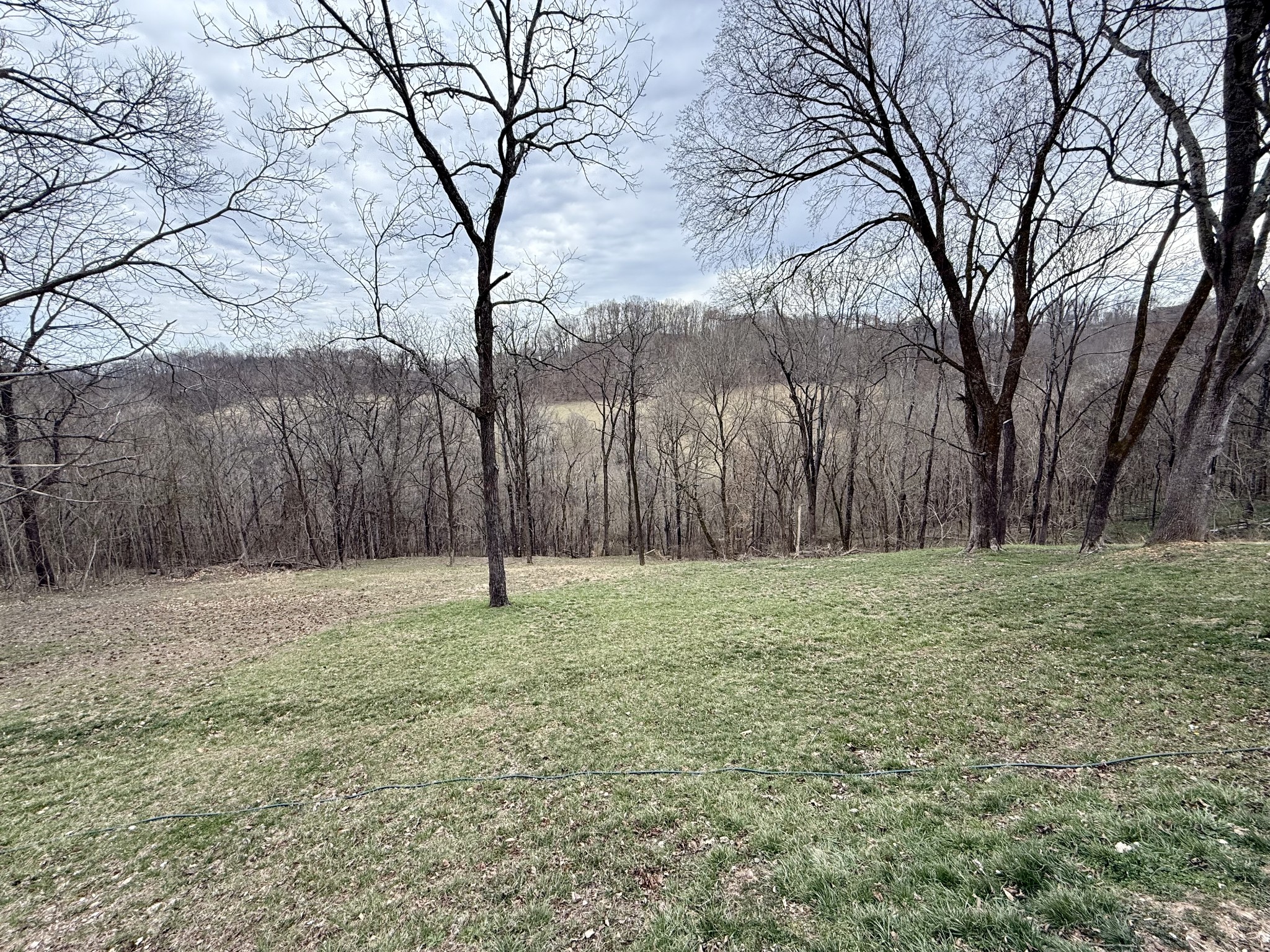 90 Maggart Road Elmwood, TN 38560 - Photo 11 of 46 Gallery Image 11