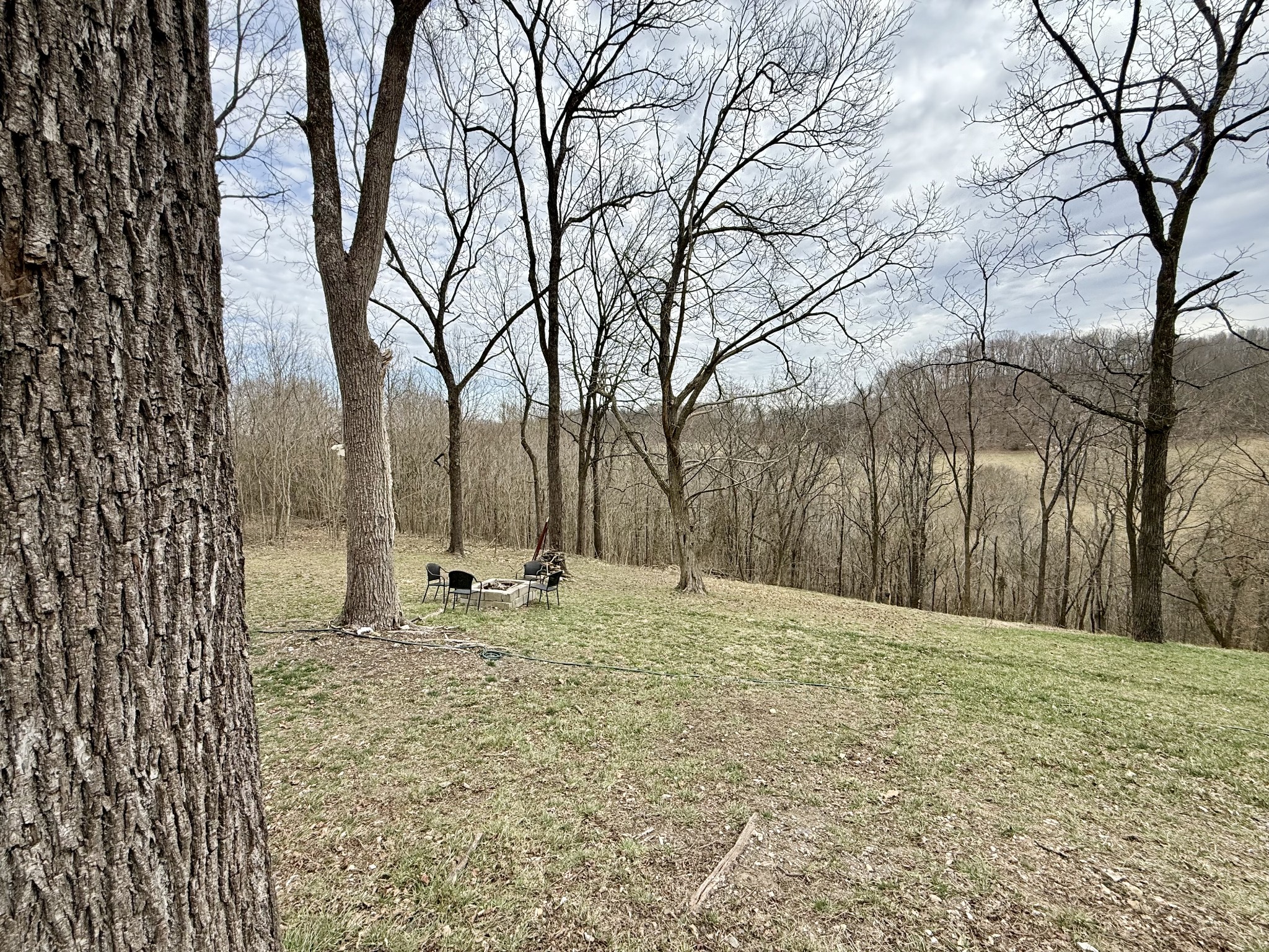 90 Maggart Road Elmwood, TN 38560 - Photo 14 of 46 Gallery Image 14