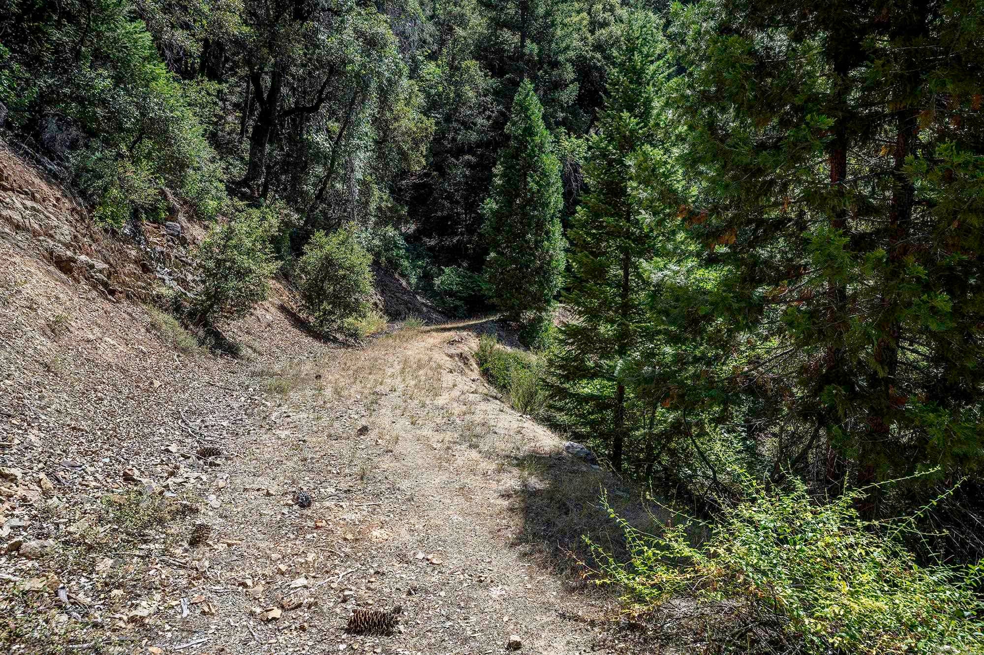 Girard Ridge Castella, CA 96017 - Photo 6 of 13 Gallery Image 6