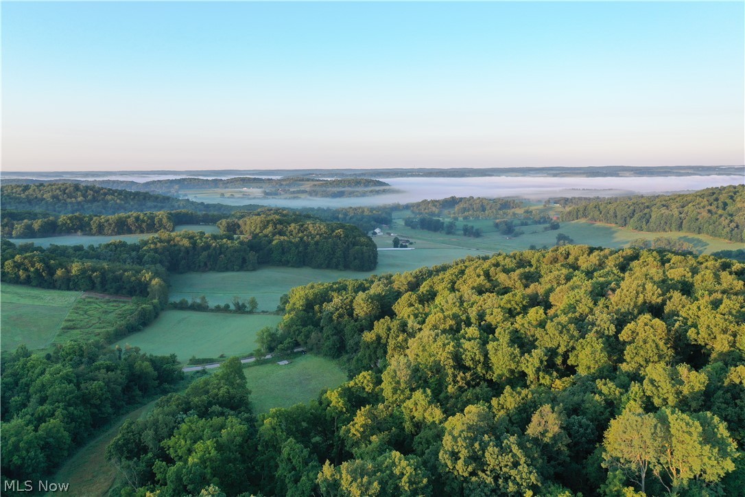2575 Co Road Loudonville, OH 44842 - Photo 10 of 44 Expansive wooded acreage featuring rolling terrain and cleared fields