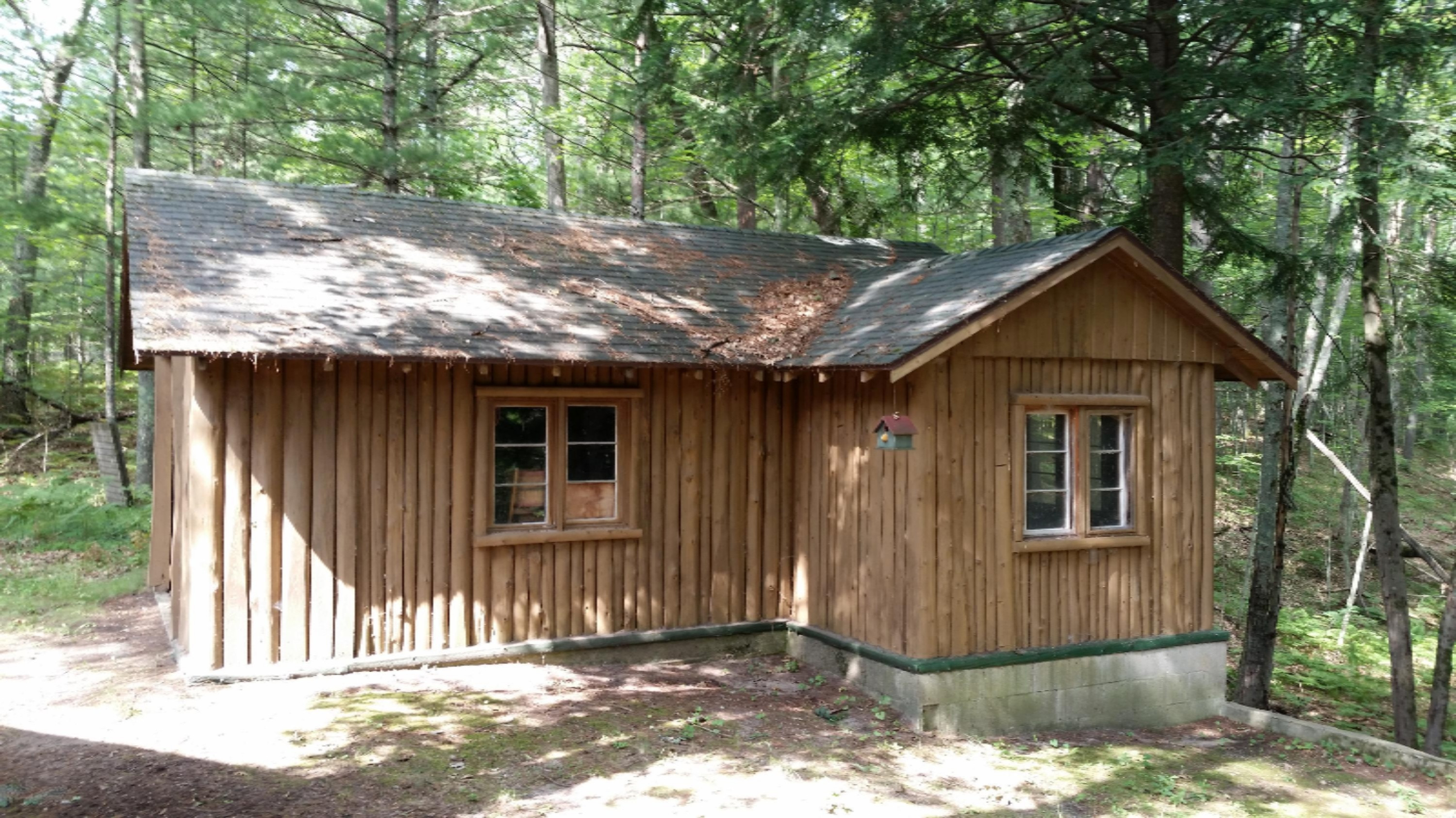 8762 West River Road Irons, MI 49644 - Photo 14 of 15 20150810_112146