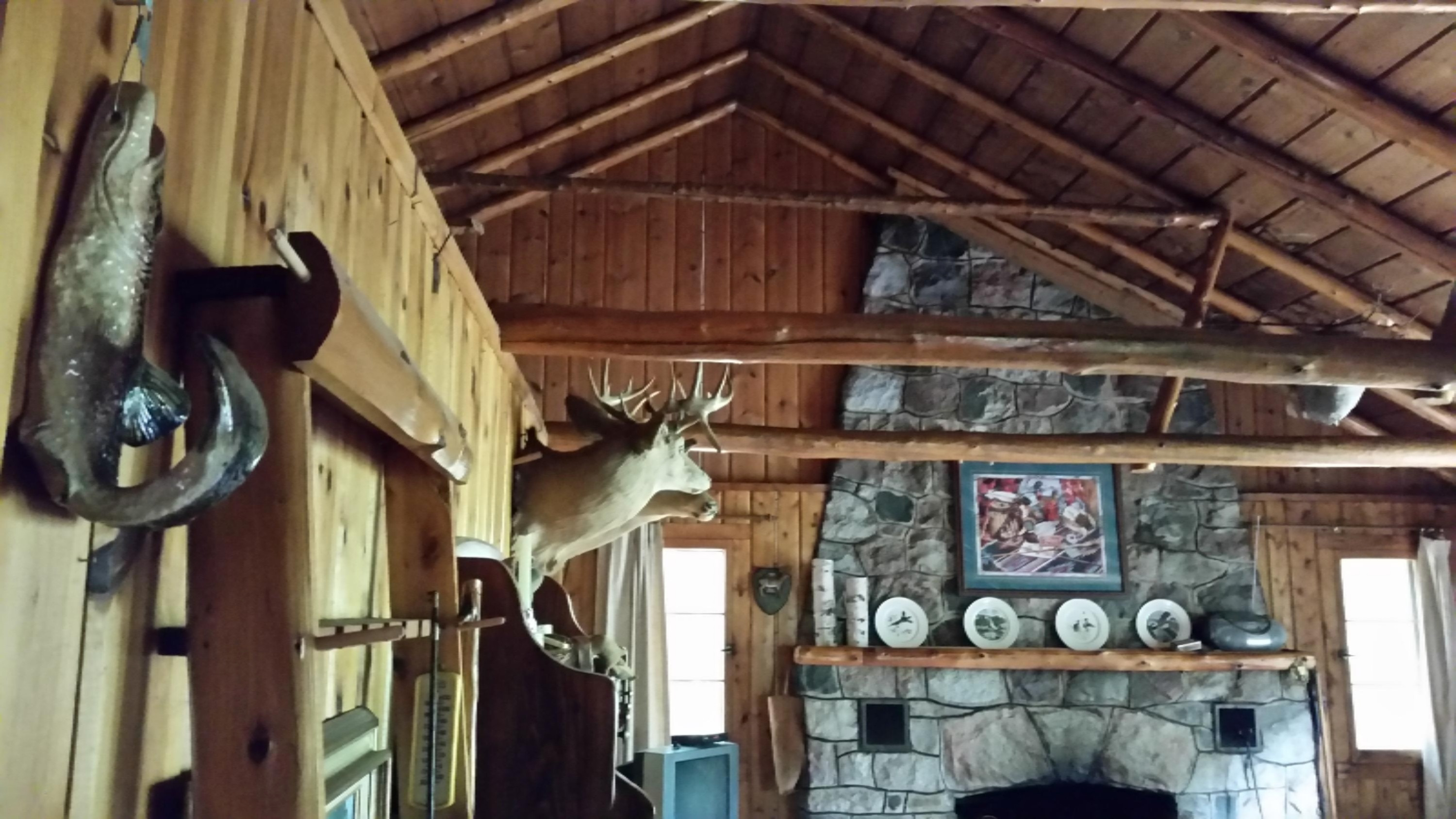 8762 West River Road Irons, MI 49644 - Photo 4 of 15 20150810_111515