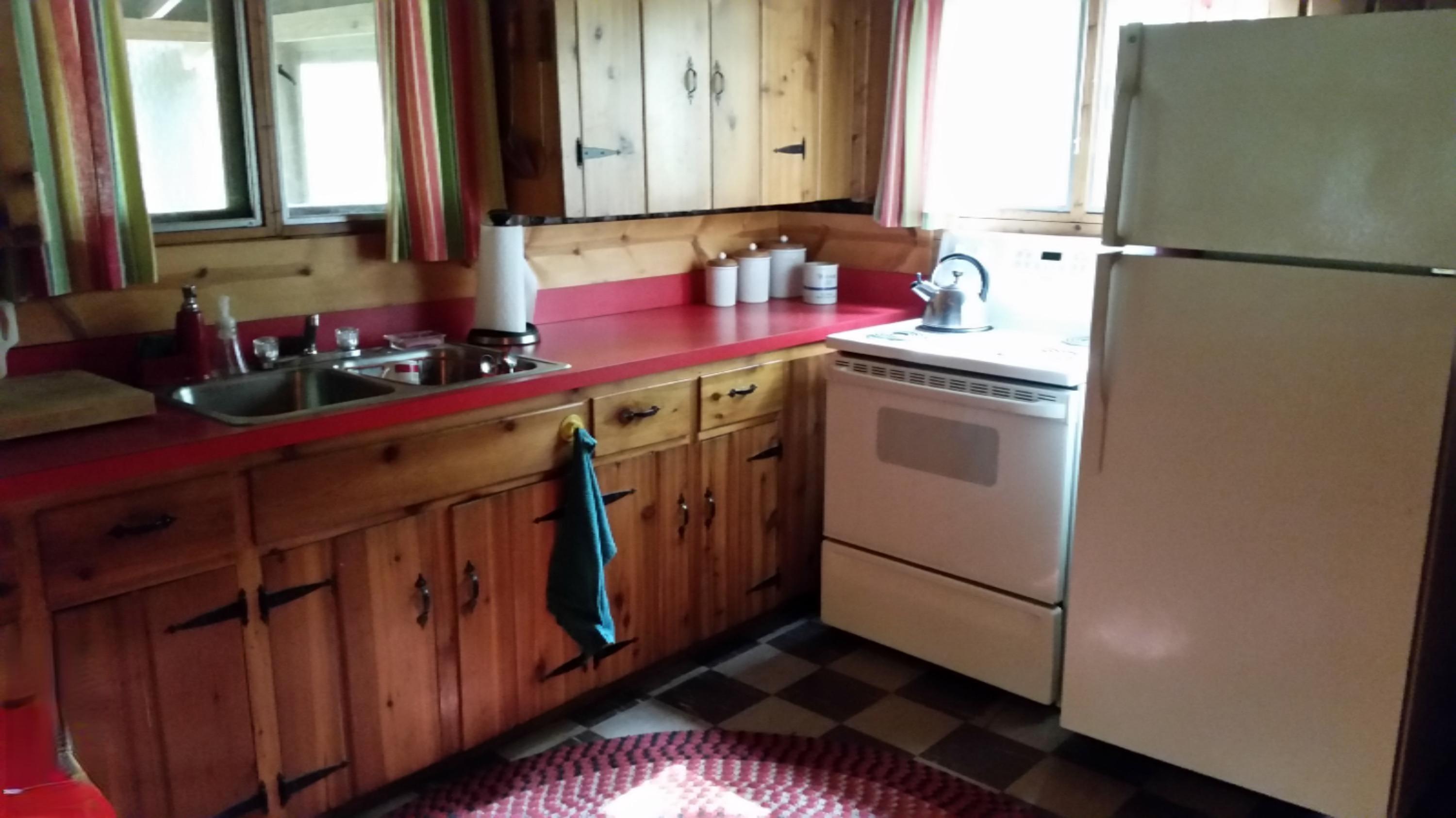 8762 West River Road Irons, MI 49644 - Photo 8 of 15 20150810_111704