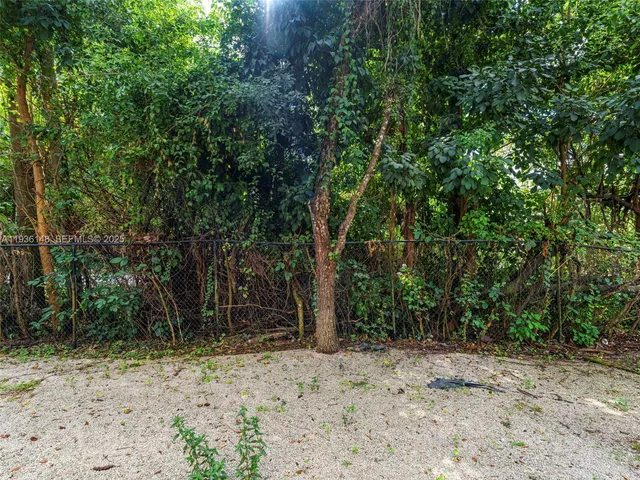 a view of a yard with plants and trees