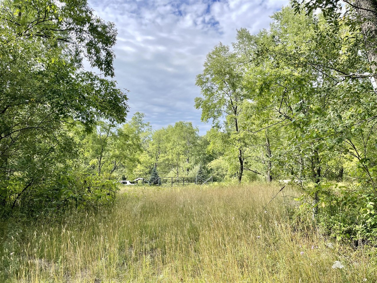 Beyer Road Road Free Soil, MI 49411 - Photo 2 of 46