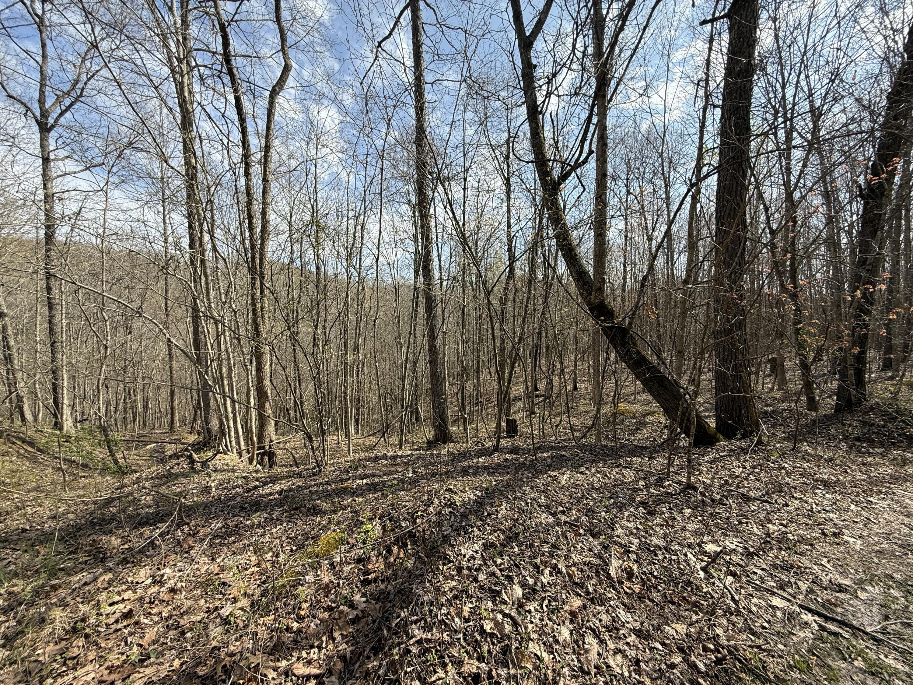 9999 Nineva Road London, KY 40741 - Photo 10 of 17 IMG_0315