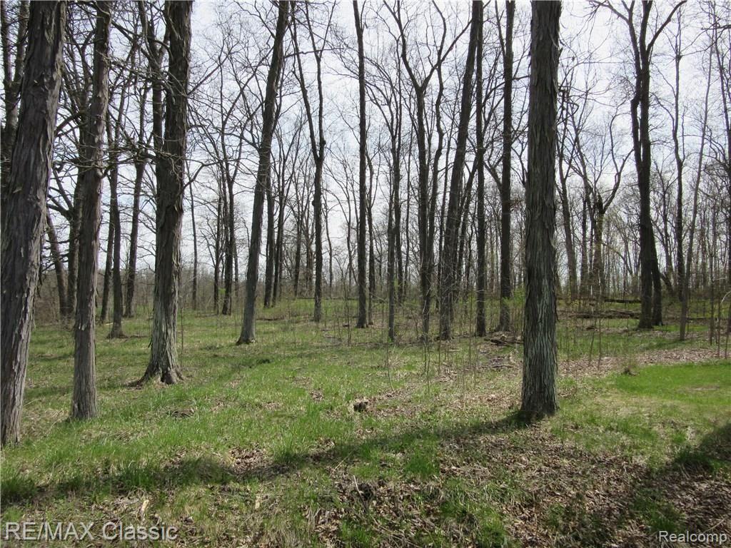 5 Foldenauer Drive Howell, MI 48843 - Photo 3 of 8