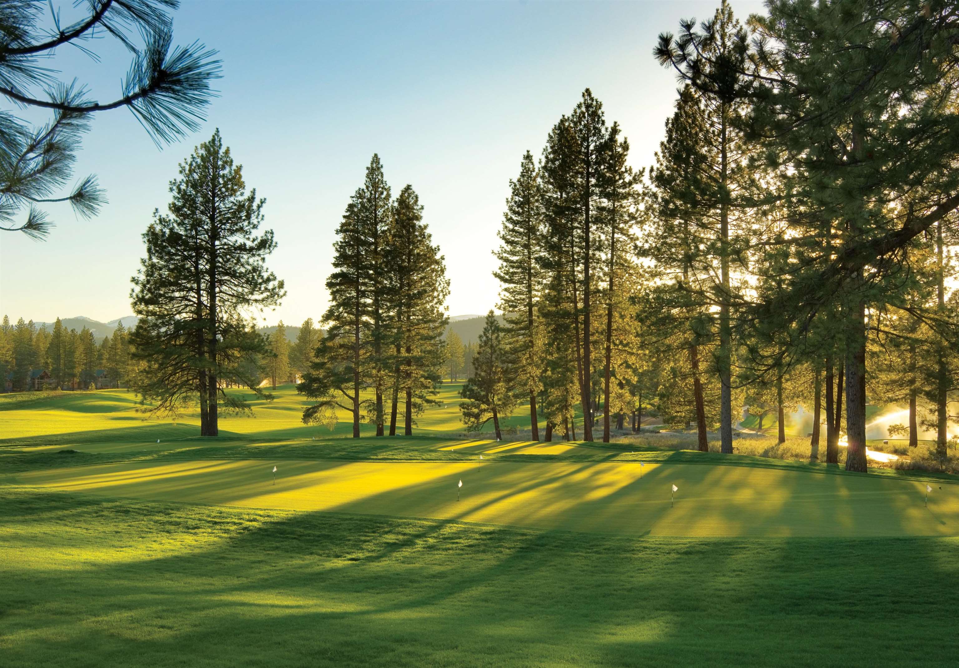 12267 Lookout Loop, Unit F713 Truckee, CA 96161 - Photo 26 of 26 a view of swimming pool with trees and grass