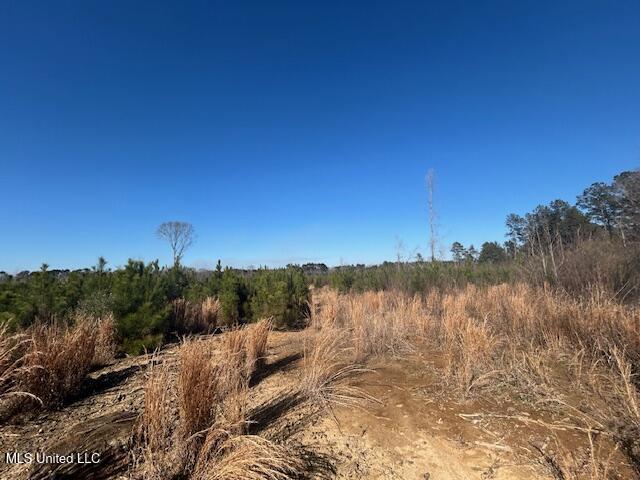 Jones Road Summit, MS 39666 - Photo 5 of 17 IMG_2865