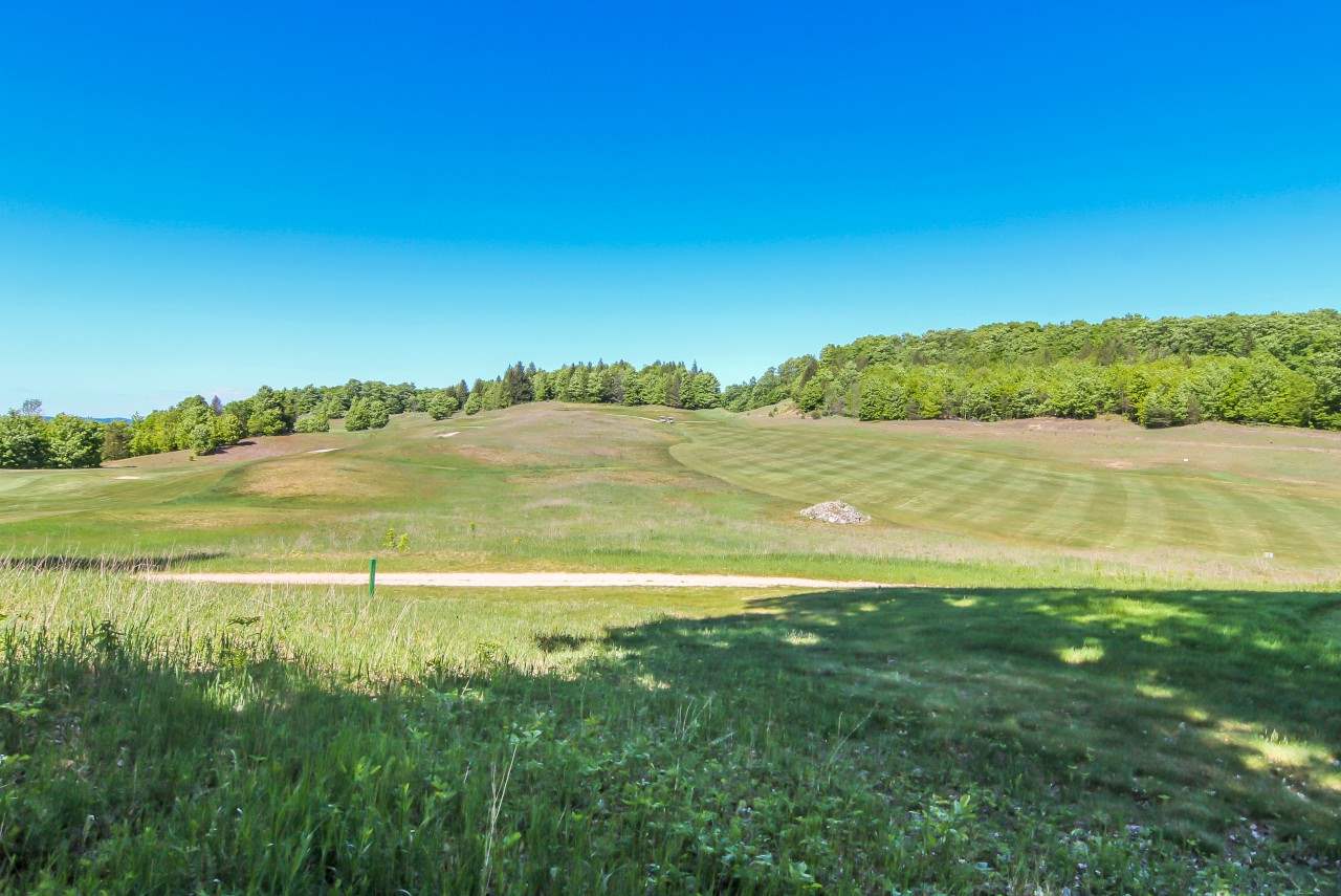 16 Heather Ridge Trail Beulah, MI 49617 - Photo 8 of 12