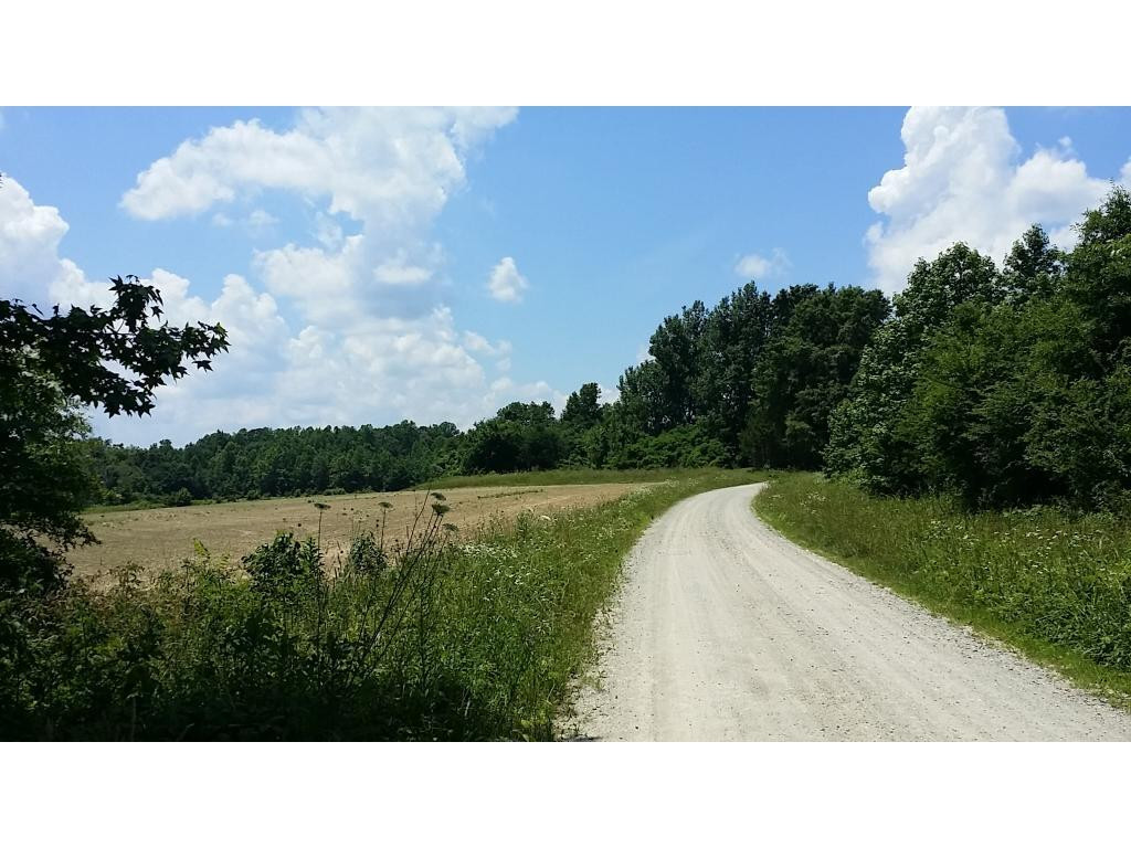 Lot 2 Lees Chapel Church Road Cedar Grove, NC 27231 - Photo 1 of 13 Gallery Image 1