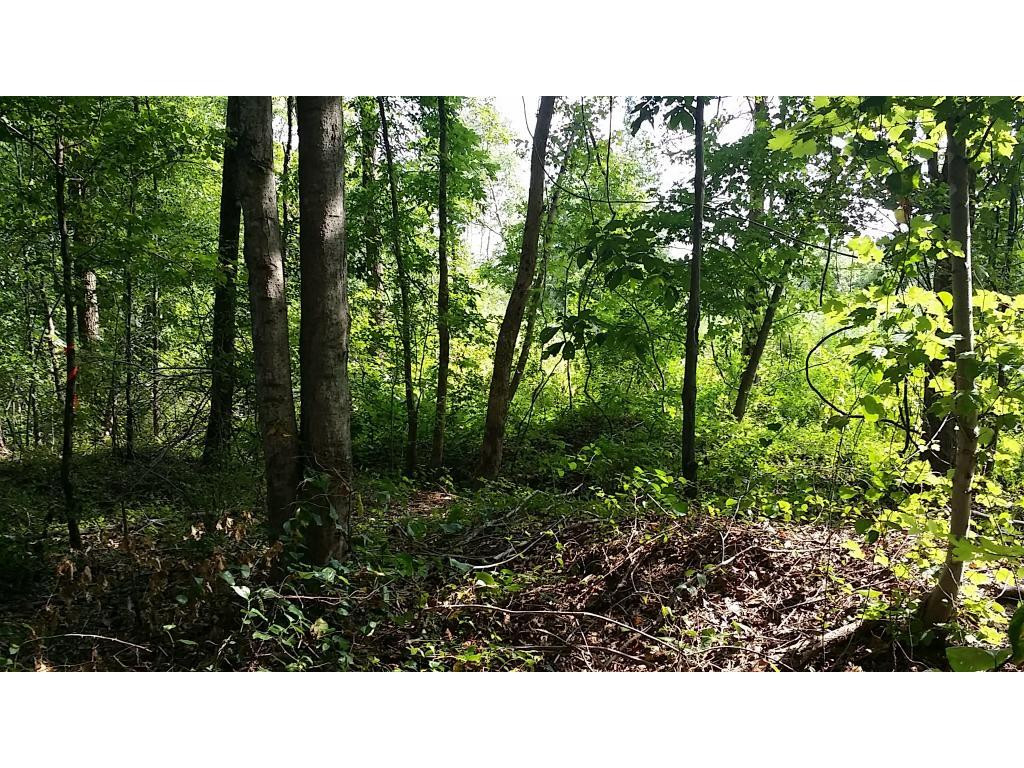 Lot 2 Lees Chapel Church Road Cedar Grove, NC 27231 - Photo 12 of 13 Gallery Image 12