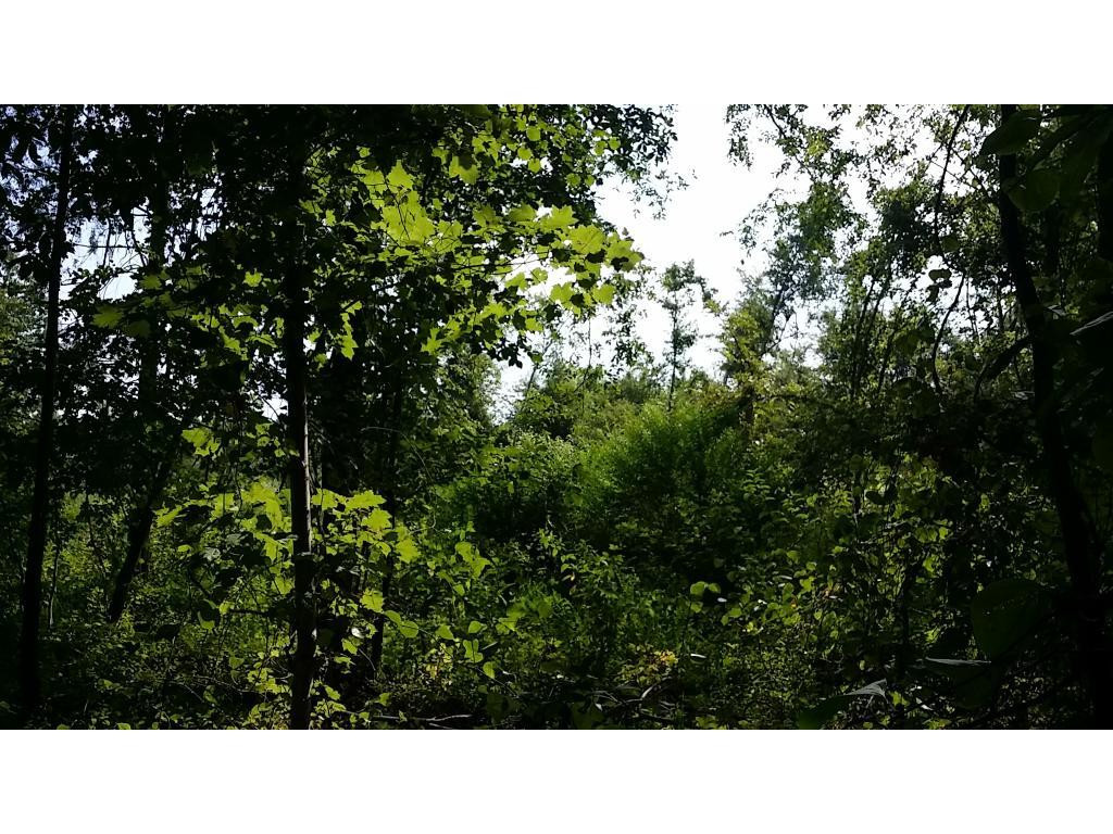 Lot 2 Lees Chapel Church Road Cedar Grove, NC 27231 - Photo 13 of 13 Gallery Image 13