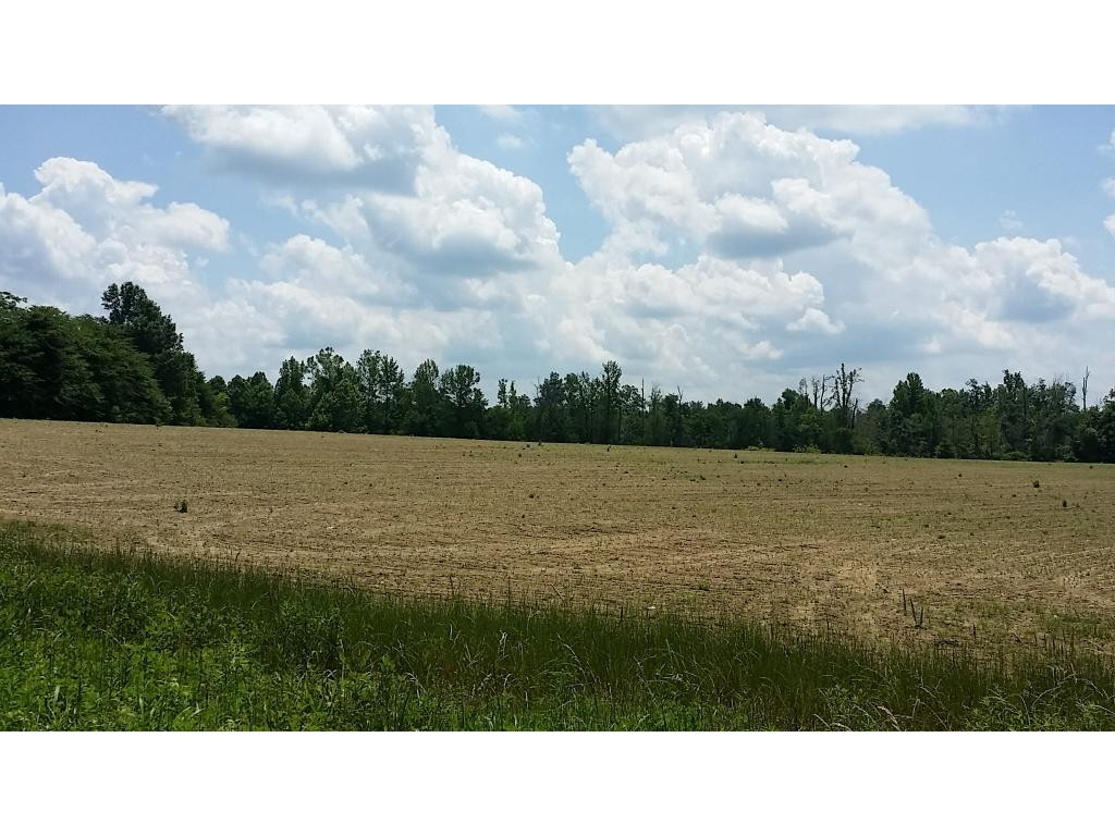 Lot 2 Lees Chapel Church Road Cedar Grove, NC 27231 - Photo 2 of 13 Gallery Image 2