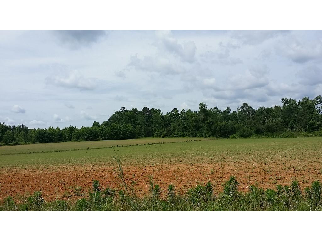 Lot 2 Lees Chapel Church Road Cedar Grove, NC 27231 - Photo 4 of 13 Gallery Image 4