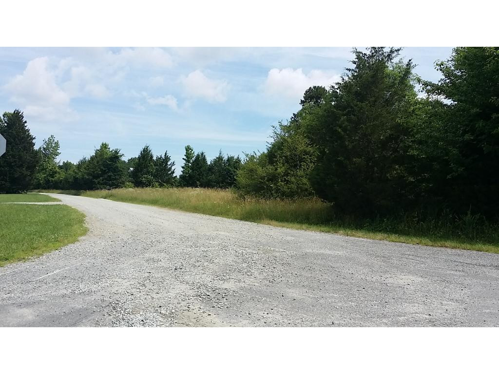 Lot 2 Lees Chapel Church Road Cedar Grove, NC 27231 - Photo 5 of 13 Gallery Image 5