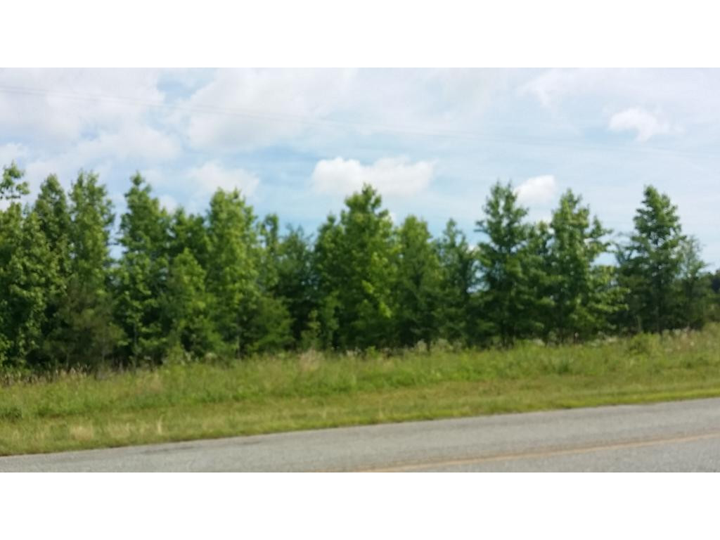 Lot 2 Lees Chapel Church Road Cedar Grove, NC 27231 - Photo 7 of 13 Gallery Image 7