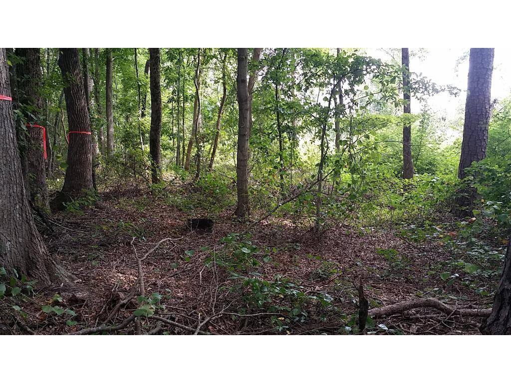 Lot 2 Lees Chapel Church Road Cedar Grove, NC 27231 - Photo 10 of 13 Gallery Image 10