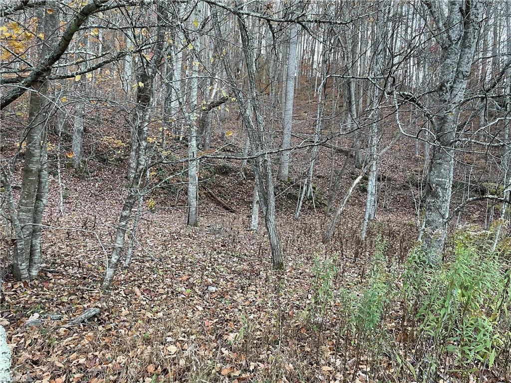 0 Howard's Creek Road Boone, NC 28607 - Photo 4 of 5 Flat area at entrance to property. Building site