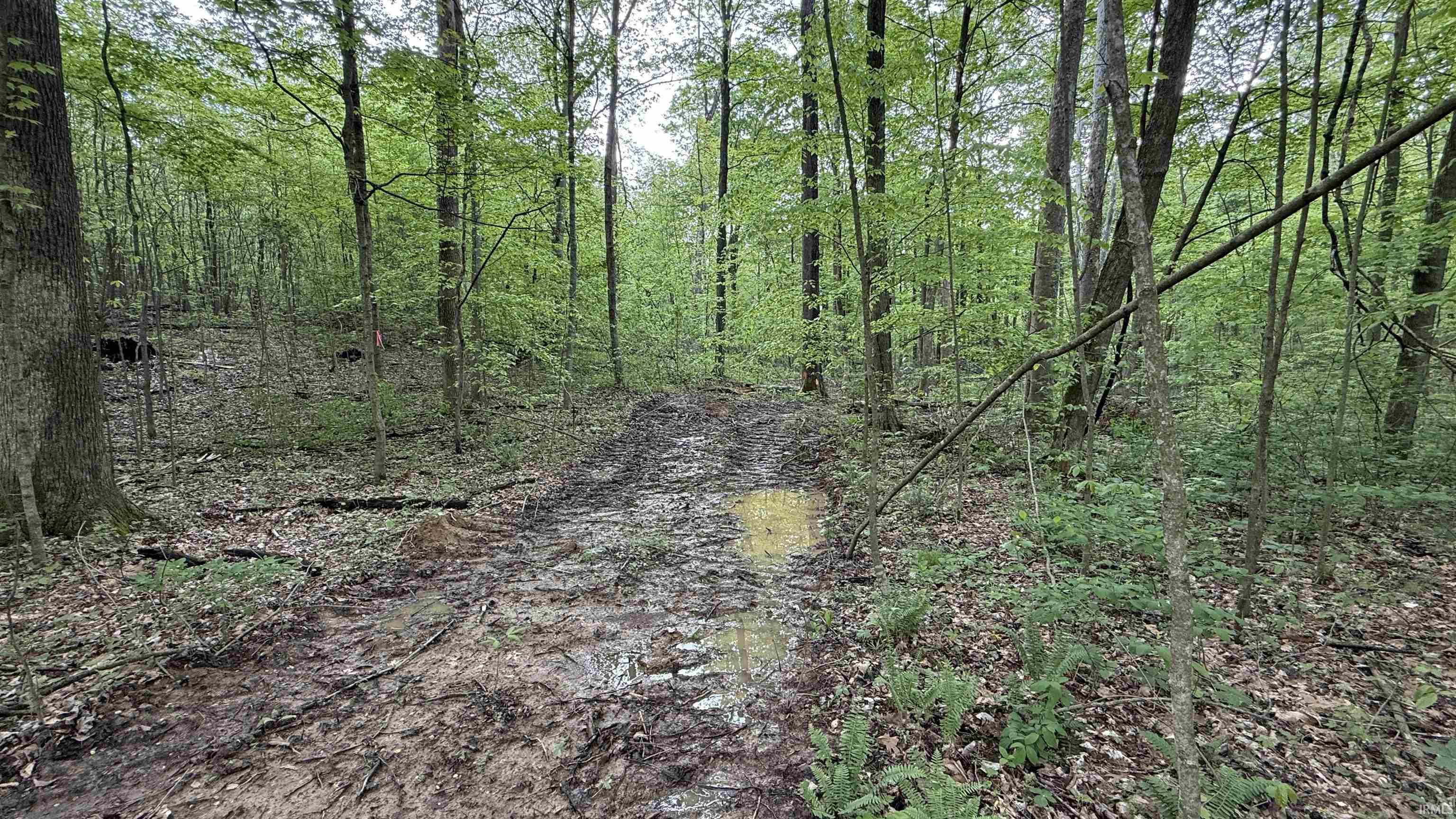 6 Fiscus Cemetery Road Coal City, IN 47427 - Photo 6 of 12