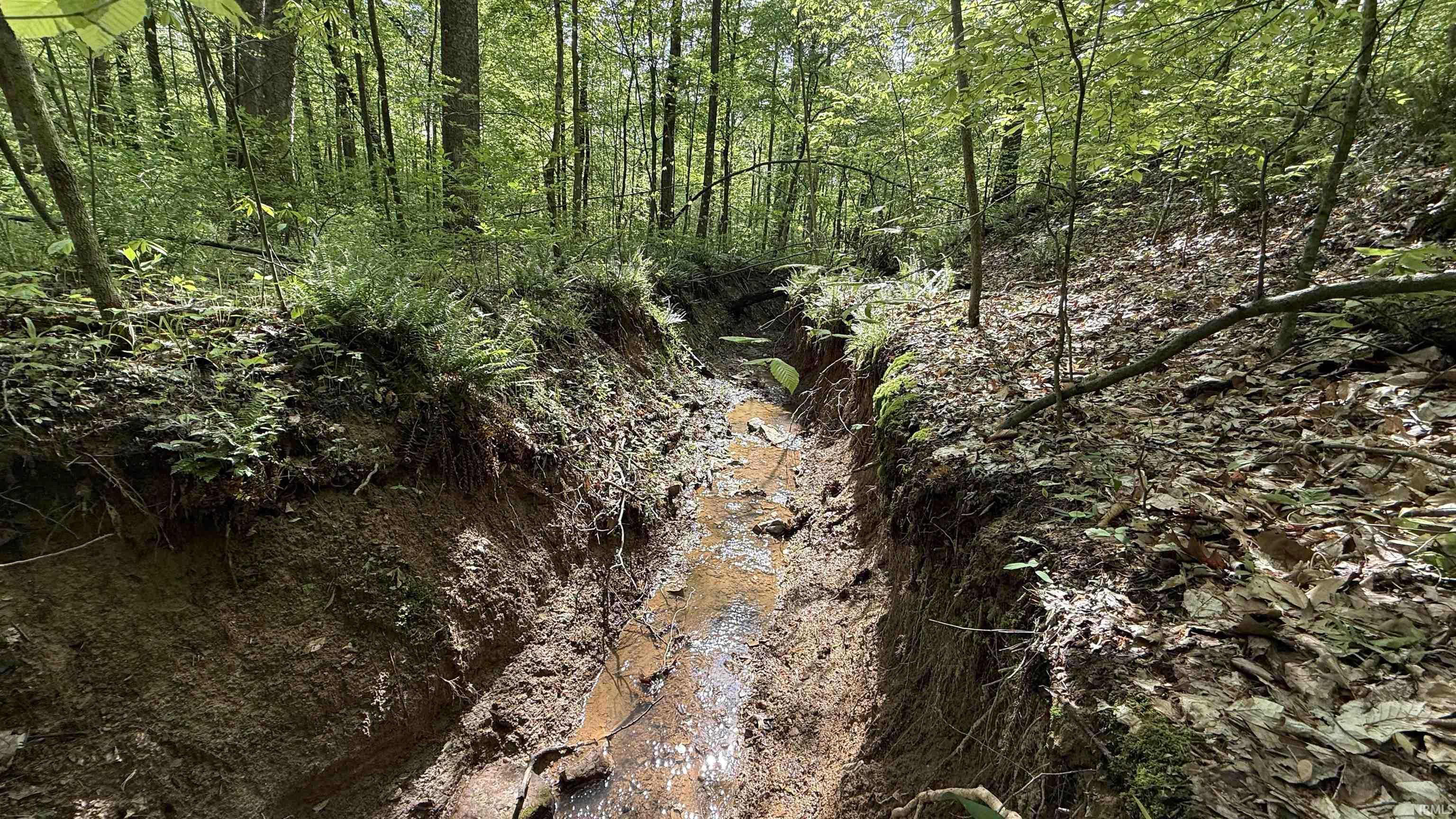 6 Fiscus Cemetery Road Coal City, IN 47427 - Photo 7 of 12