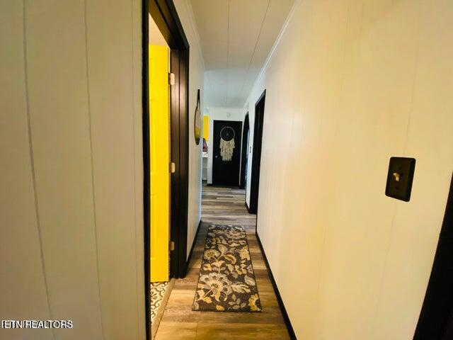 364 Jasmine Road Newport, TN 37821 - Photo 36 of 54 Jasmine 20