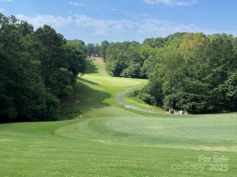 526 Pine Links Drive Tega Cay, SC 29708 - Photo 29 of 29
