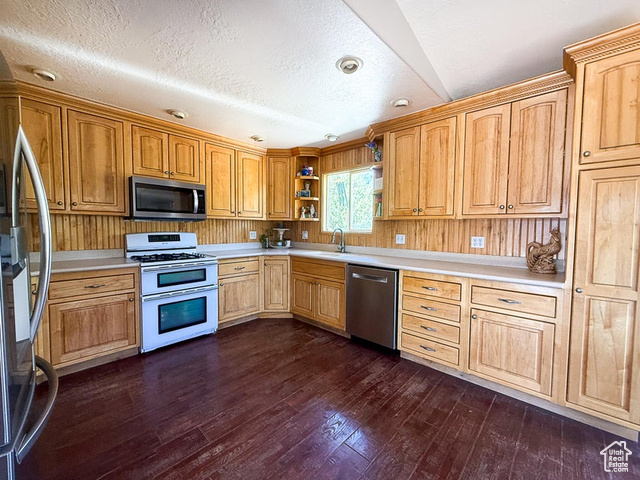 425 East Mule Deer Road Central, UT 84722 - Photo 13 of 72 Kitchen featuring stainless steel appliances, light countertops, dark wood finished floors, and a textured ceiling