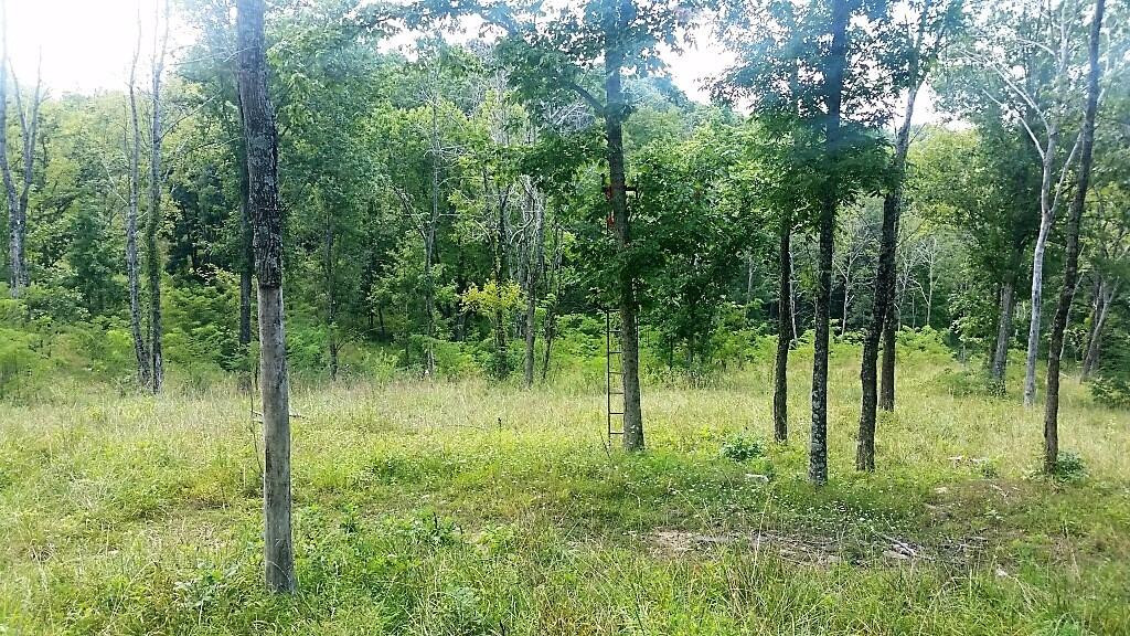0 Owenton Road Stamping Ground, KY 40379 - Photo 3 of 17 Photo 3