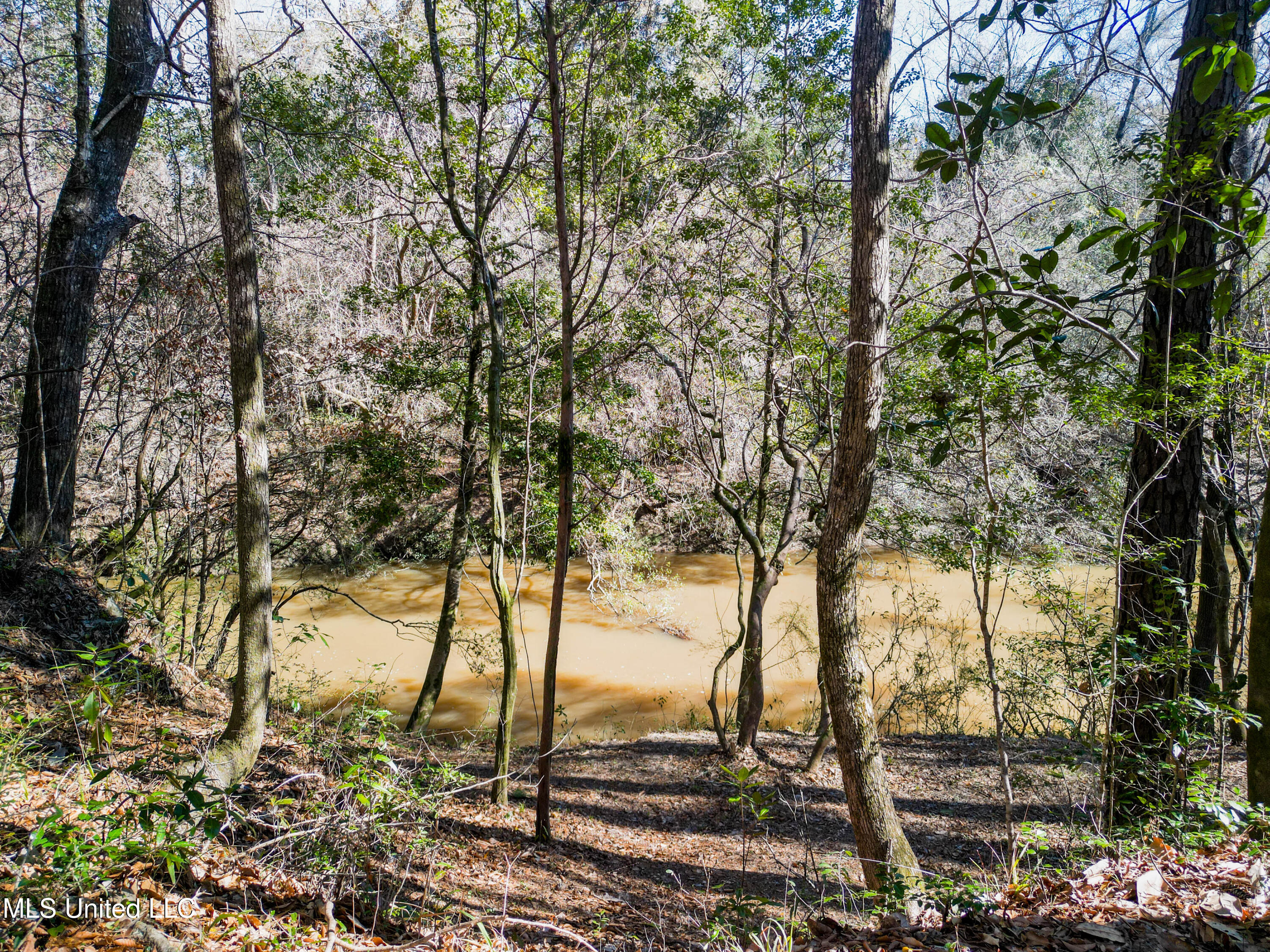 23448 River Ridge Dr Saucier-4