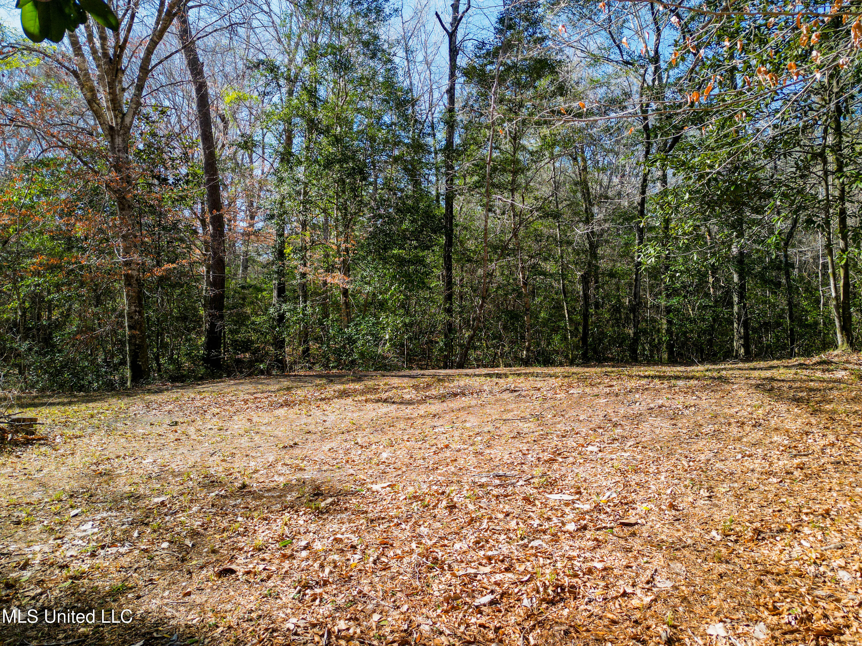 23448 River Ridge Dr Saucier-6