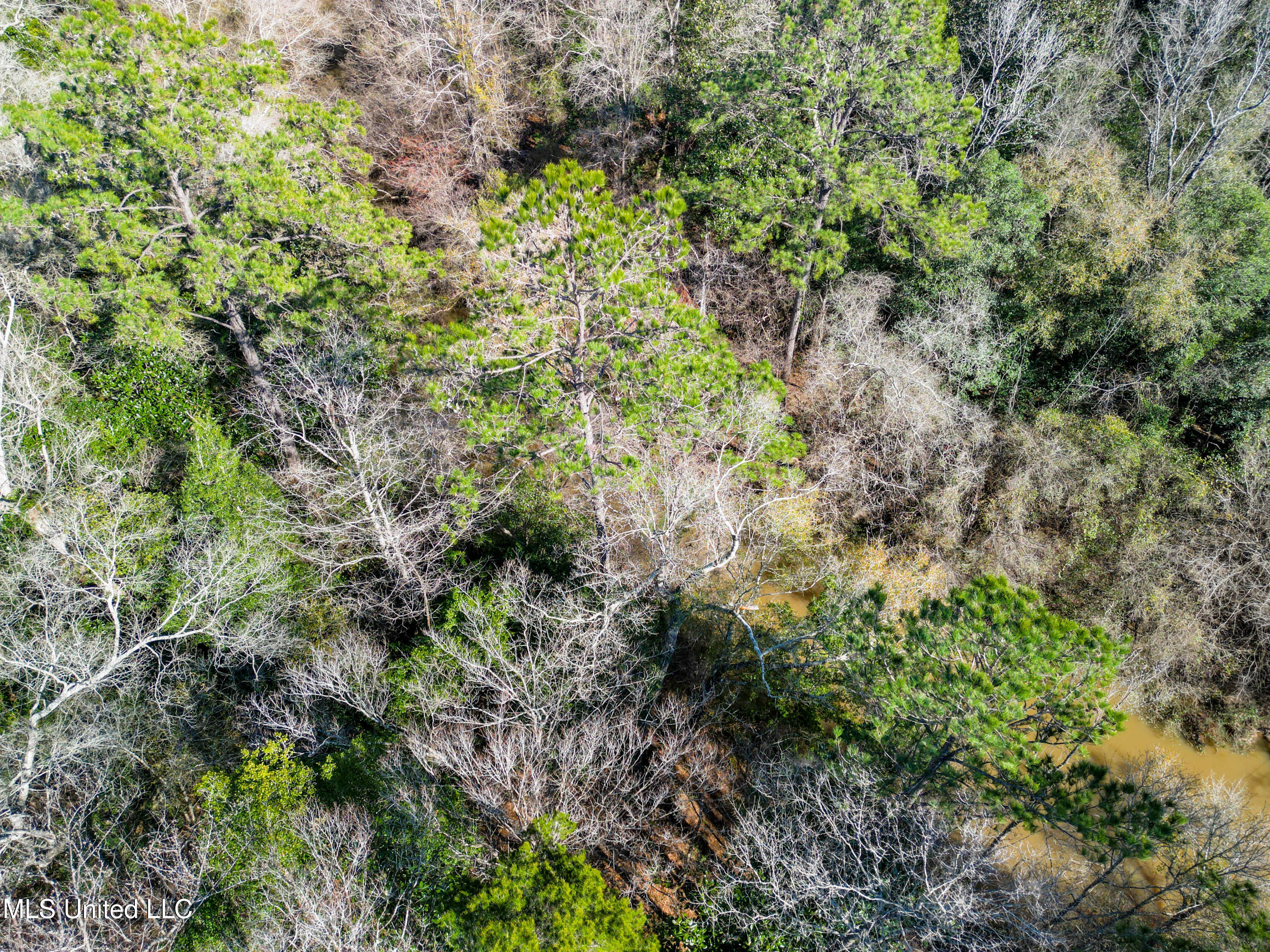 23448 River Ridge Dr Saucier-7
