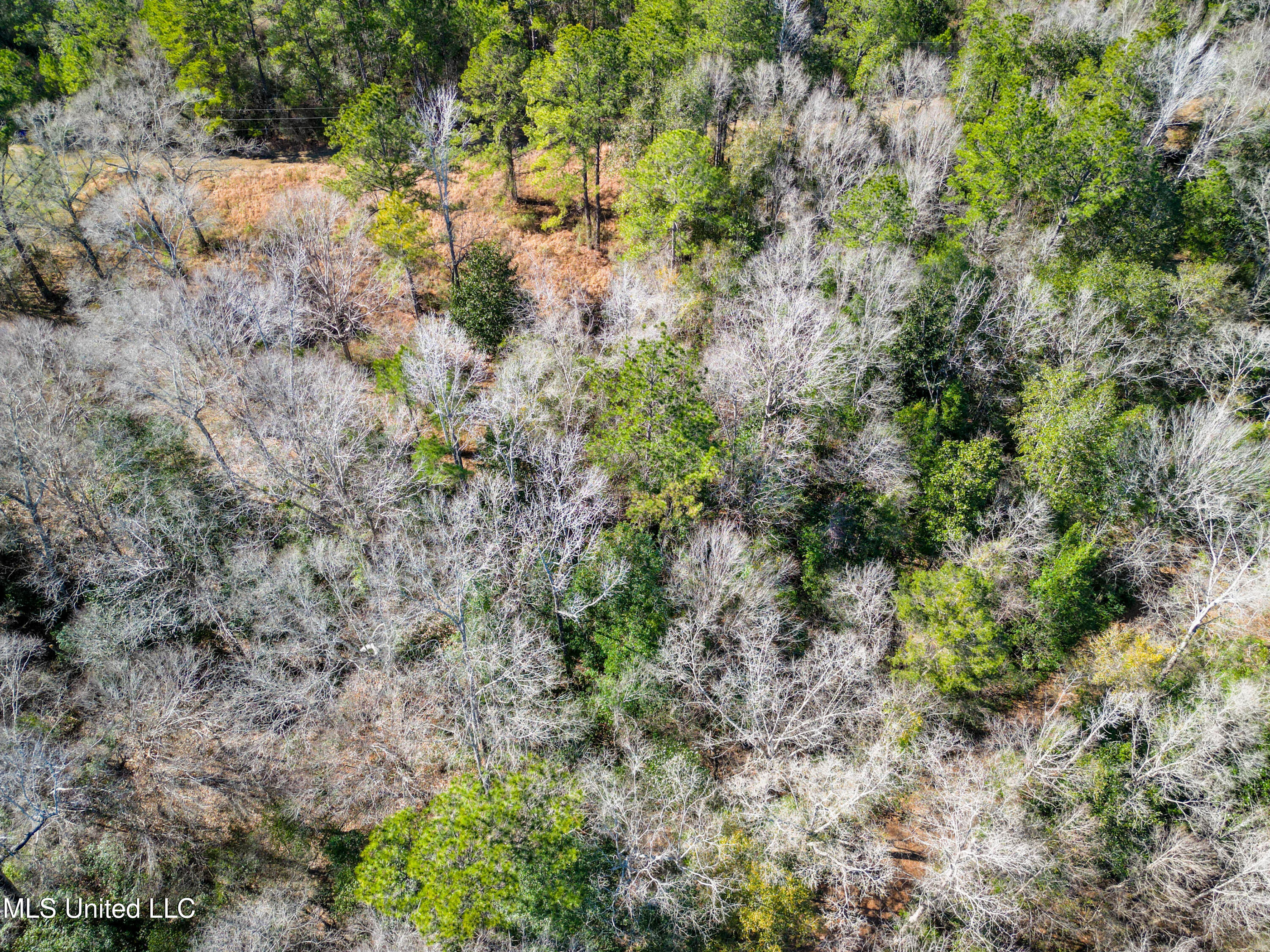23448 River Ridge Dr Saucier-8