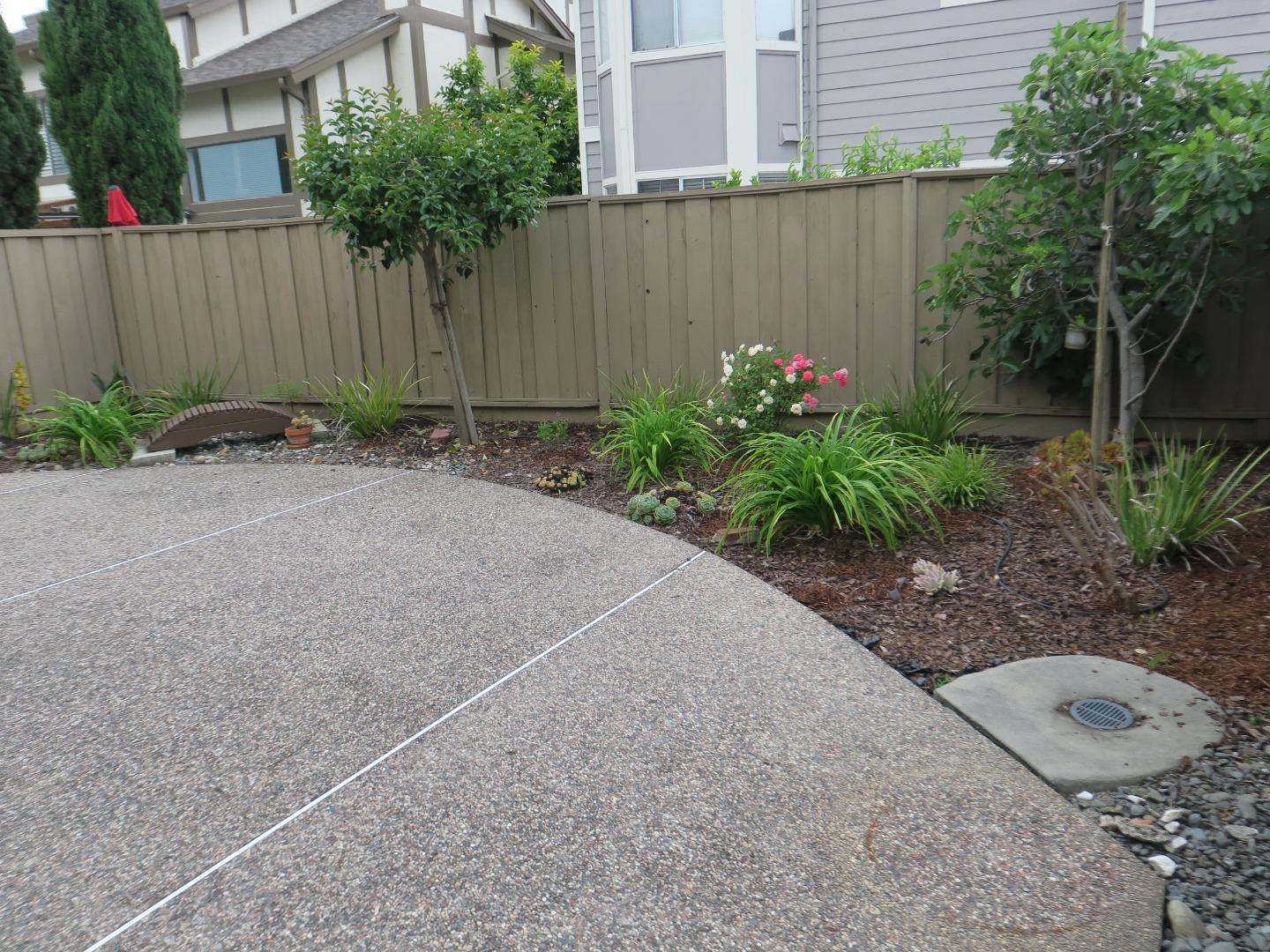 291 Klamath Road Milpitas, CA 95035 - Photo 16 of 20 a view of a backyard with plants