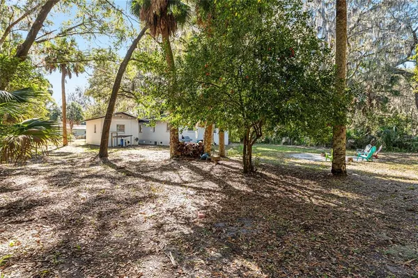 a view of a yard with tree s