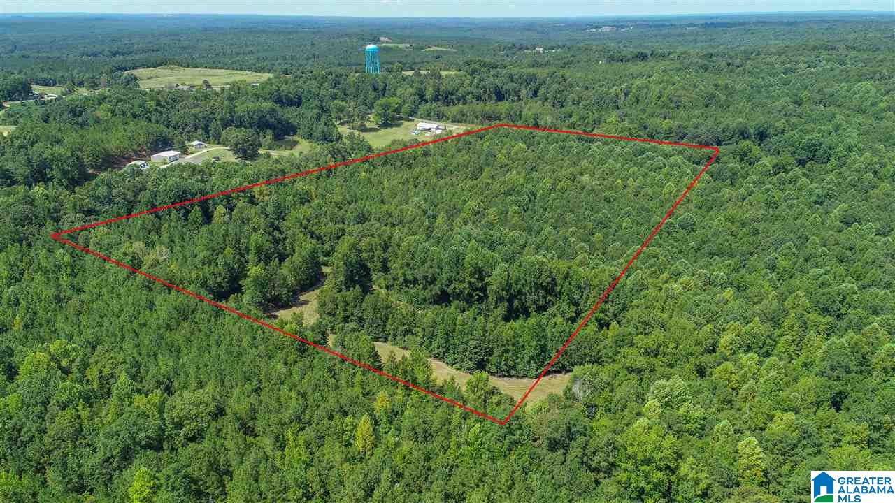 3443 County Road 69, Unit 2 Clanton, AL 35045 - Photo 3 of 8